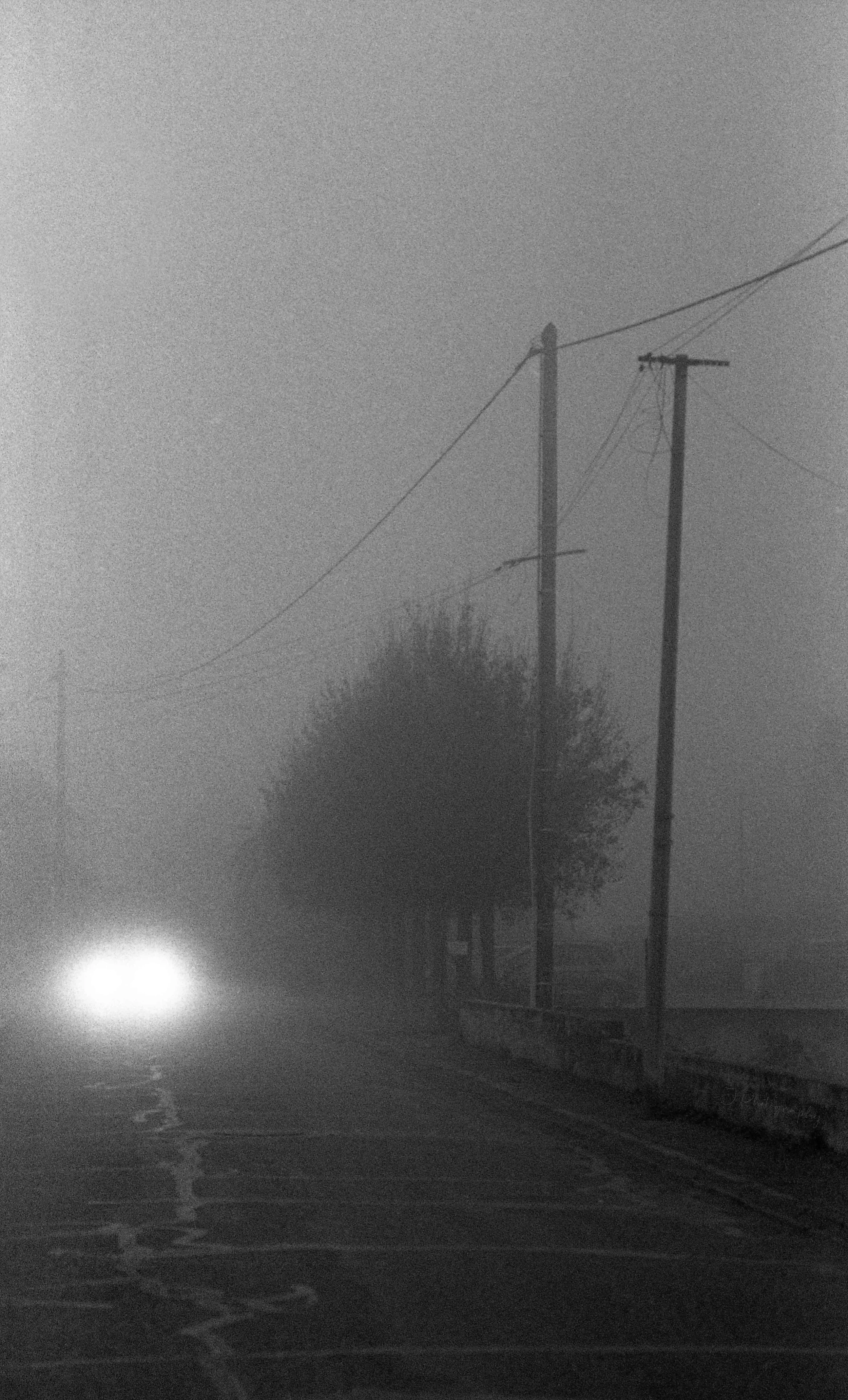 Rouffach, sous le brouillard, hiver 2024.