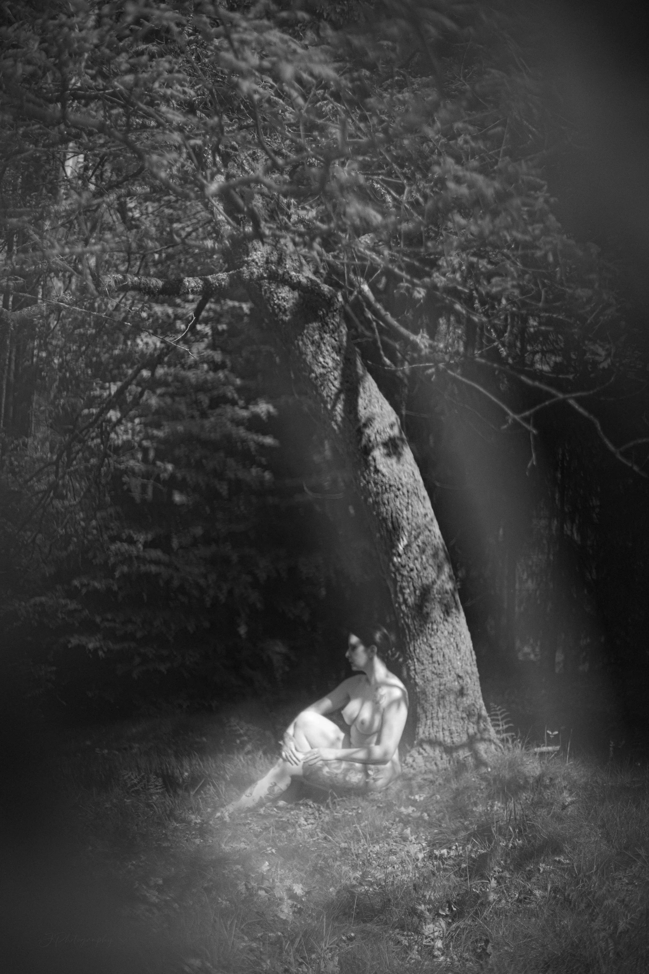 Une femme nue assise sous un arbre dans un environnement naturel, photographiée en noir et blanc.