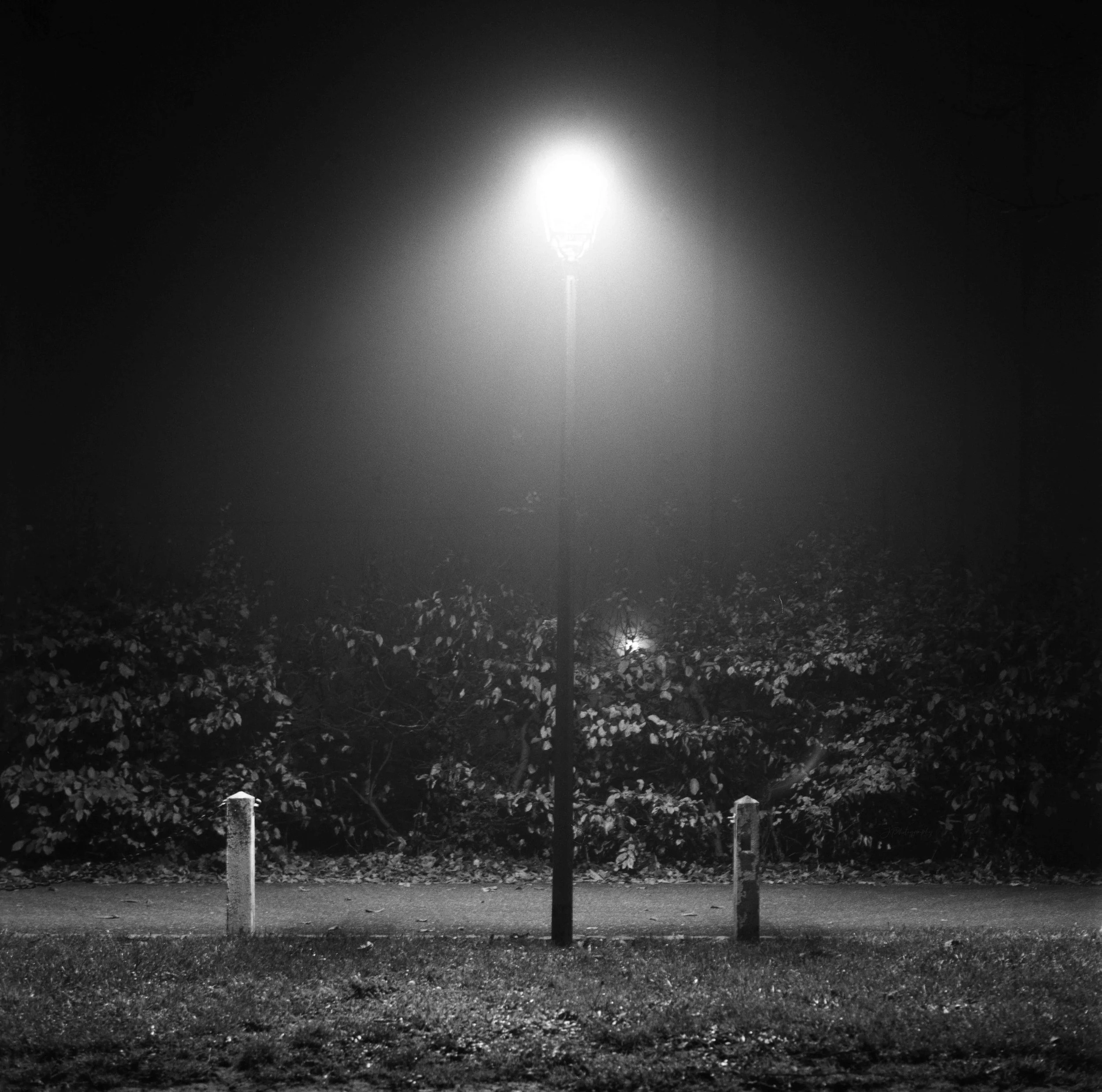 Un lampadaire allumé dans une allée ombragée la nuit, avec des arbres et des clôtures en arrière-plan
