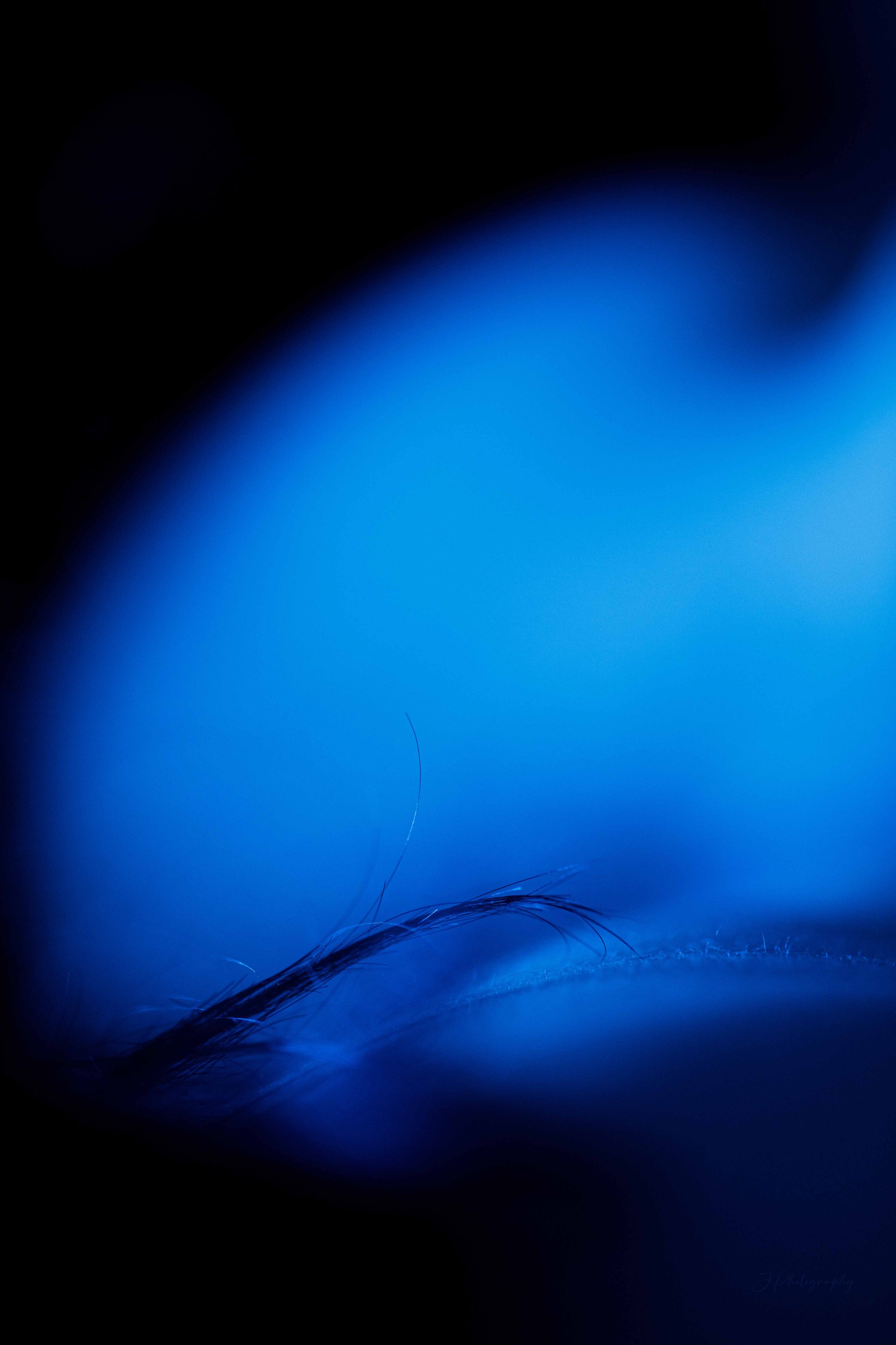 Une image abstraite de teintes bleues et noires avec des formes fluides et des lignes délicates, évoquant une scène mystérieuse ou onirique.