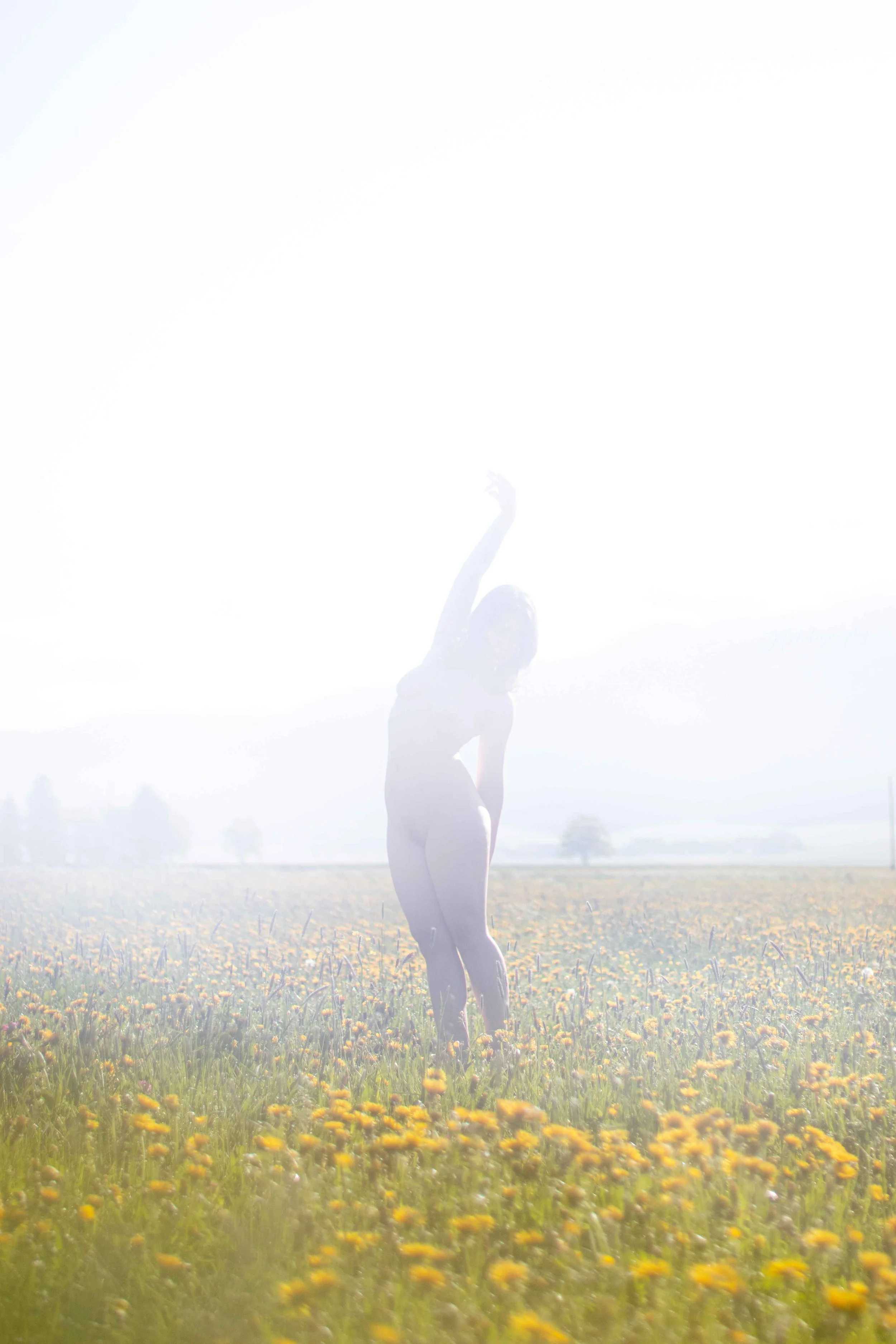 Une personne effectue une posture de yoga dans un champ de fleurs jaunes sous un ciel ensoleillé.