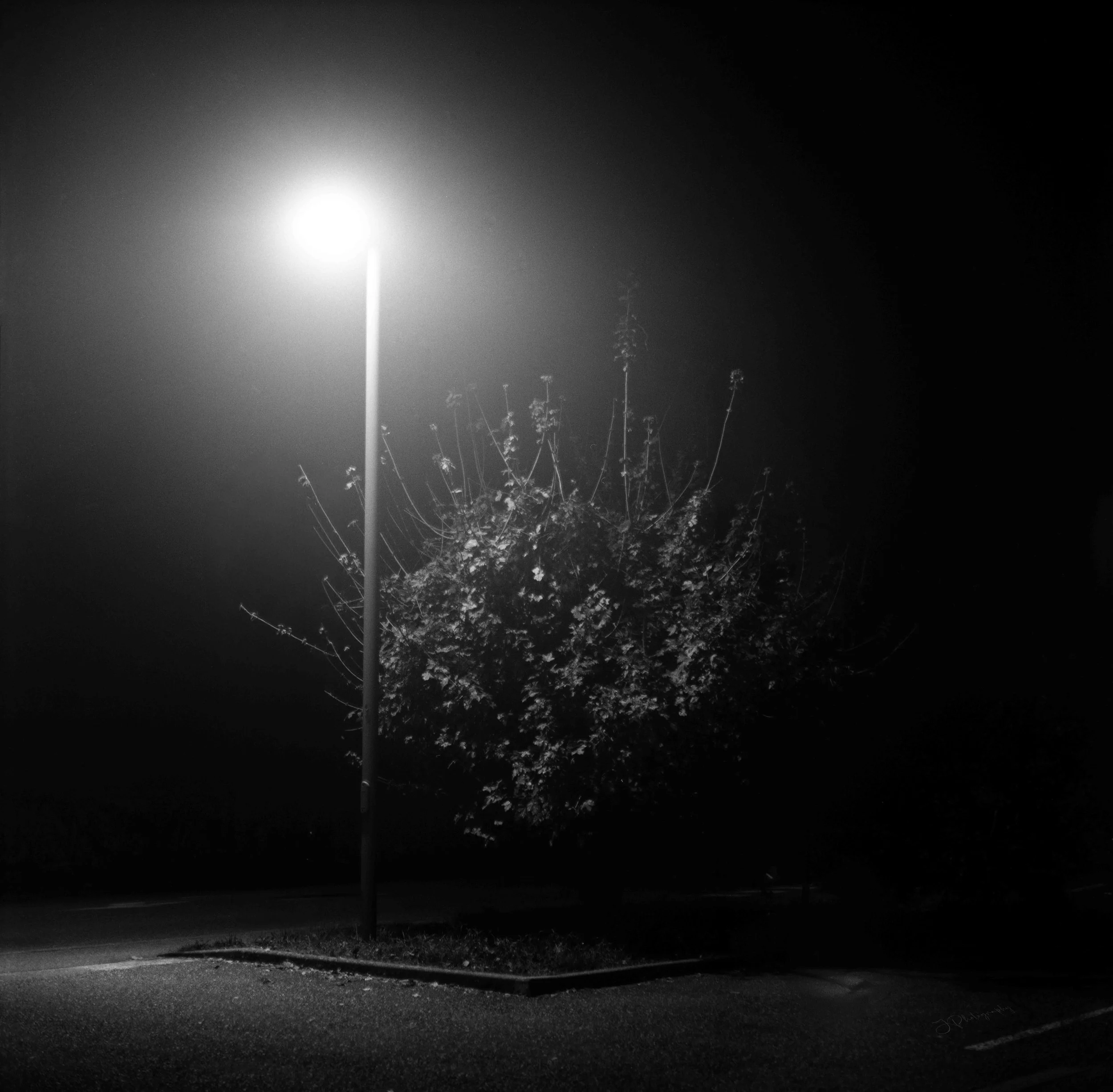 Une photo en noir et blanc prise la nuit montrant un lampadaire lumineux avec une lumière très forte. Au fond, le ciel est sombre et on peut voir des branches d'arbres sans feuilles au bas de l'image.