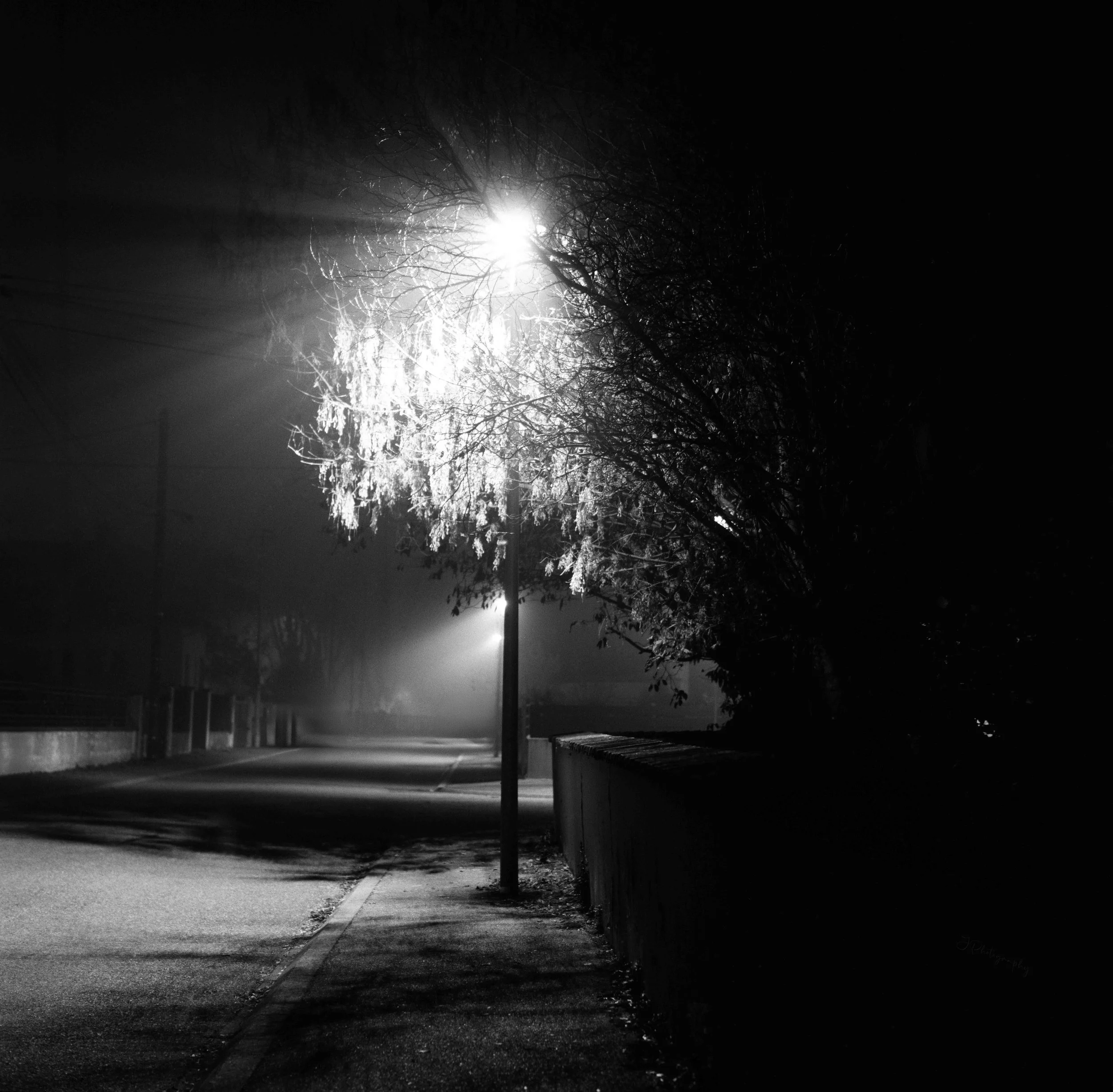 Vue nocturne d'une rue éclairée par un lampadaire, bordée d'arbres dénudés, avec peu de circulation.