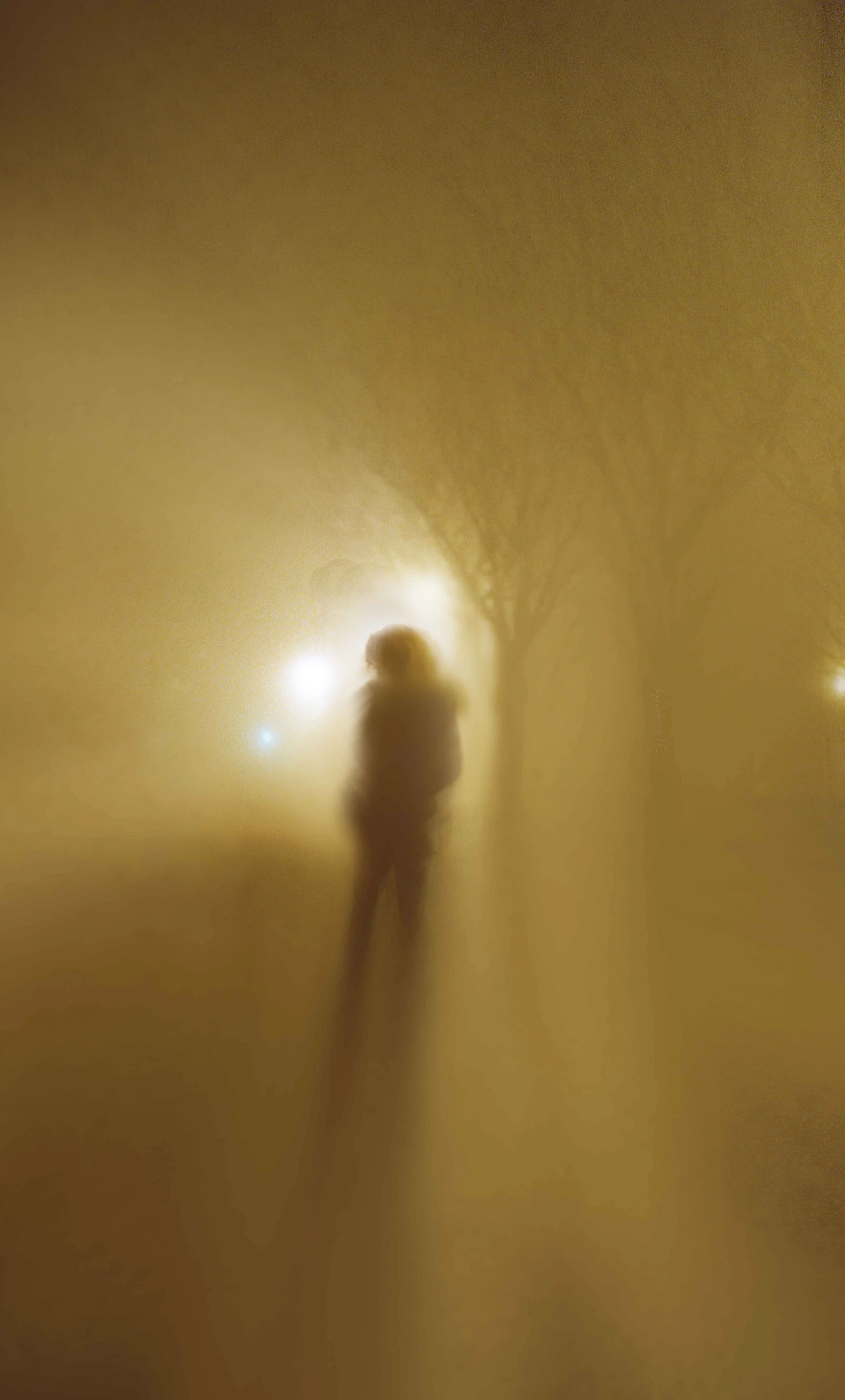 Silhouette d'une personne seule dans un brouillard lumineux en soirée, avec des arbres et des lampadaires diffusants une lumière douce.