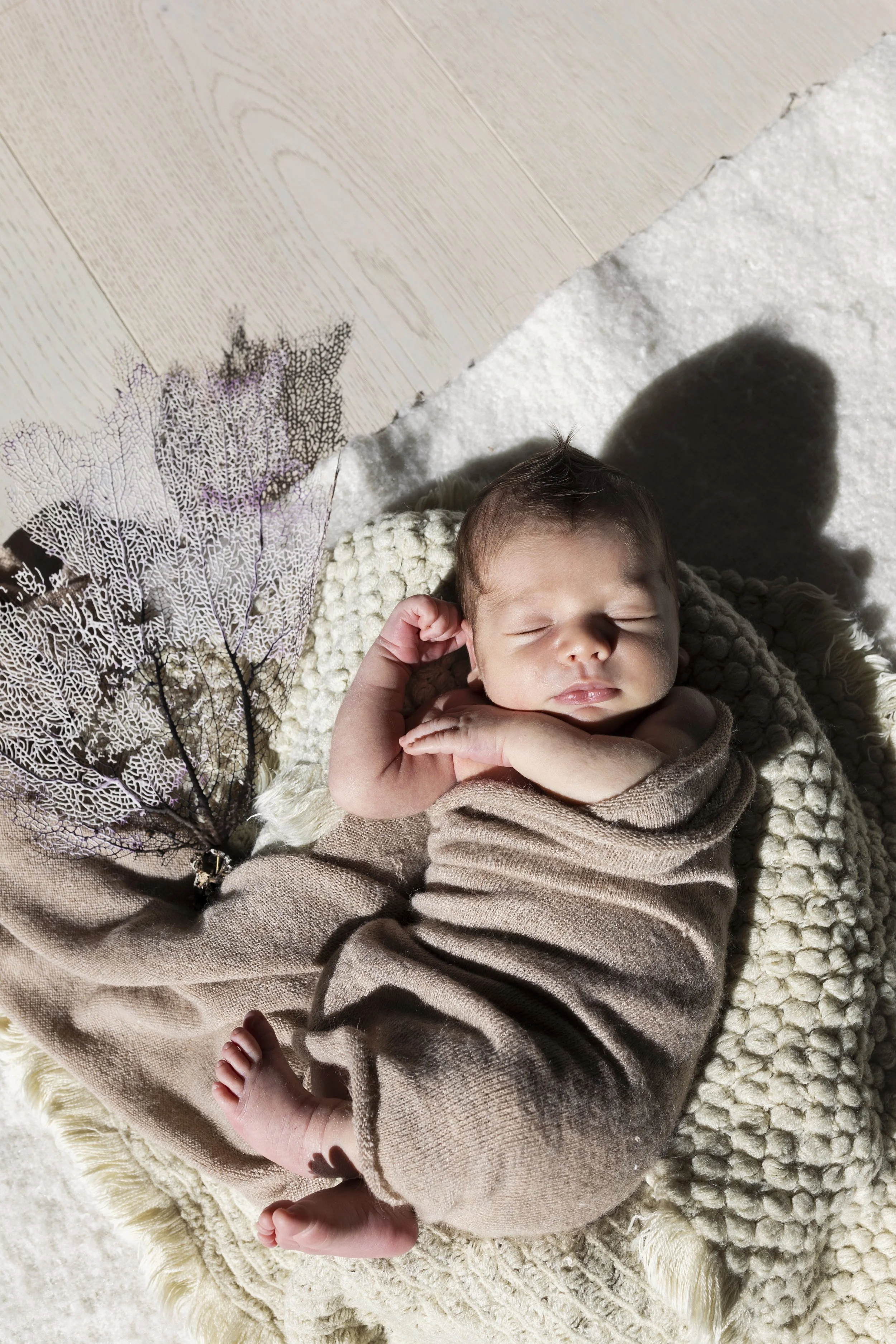 Why It's SO Important To Invest In A Newborn Photo Session