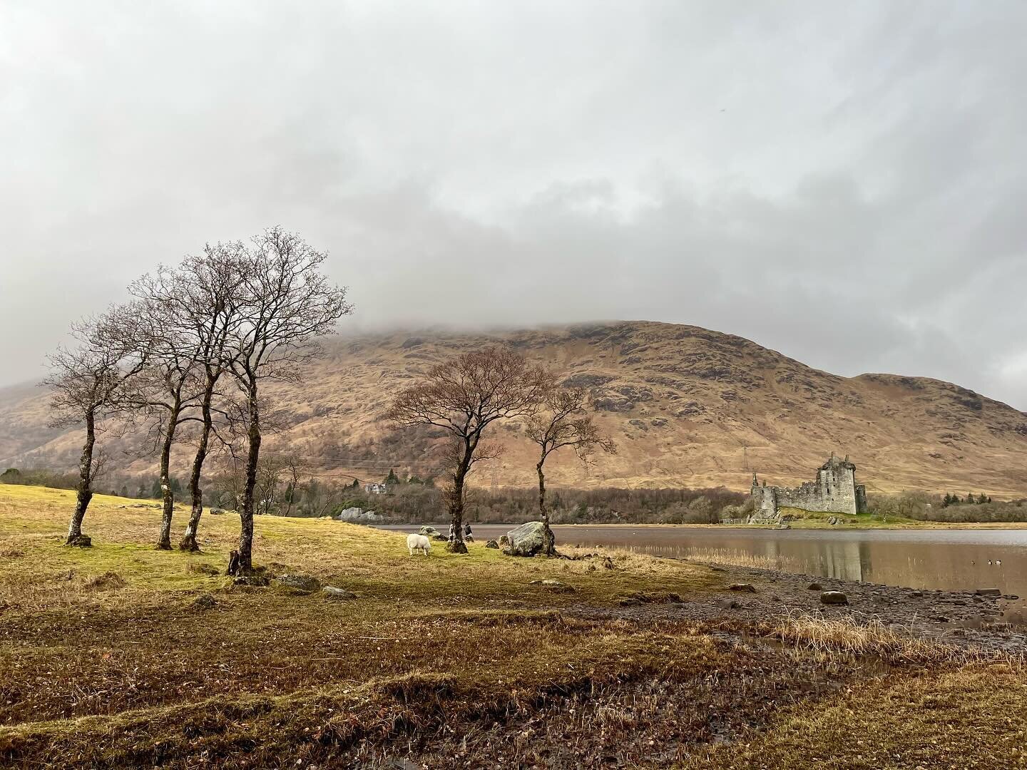 🌿 OUT OF OFFICE! 🌿

We&rsquo;ve taken my brothers motorhome up to Scotland for a while and it&rsquo;s just absolutely wonderful ✨

Aaaand relax 🥰

#scotlandexplore 
#scotlandtravel 
#kilchurncastle 
#adventure 
#elopementphotographeruk 
#elopement