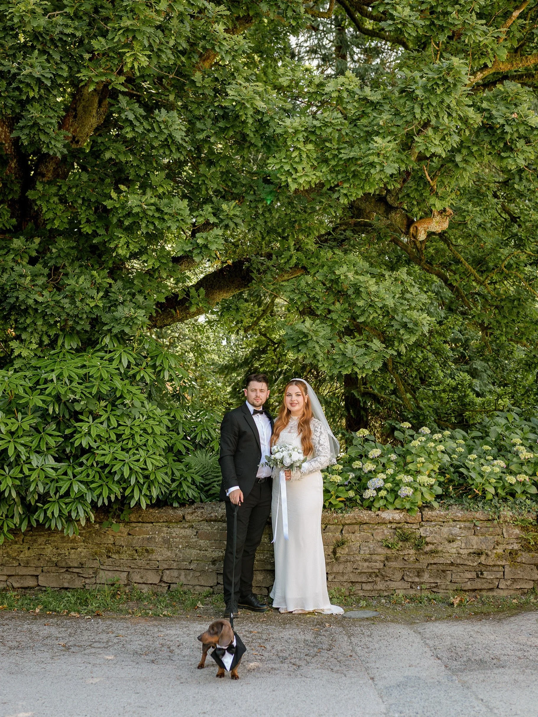 It&rsquo;s a new week and these gorgeous guys are on my editing screen 😍
Just look at little Koba 🥹

An absolute dream of an elopement at @brierywoodhotel this summer ✨🌿

Lake District Elopement
Lake District Elopement Photographer 
Lake District 