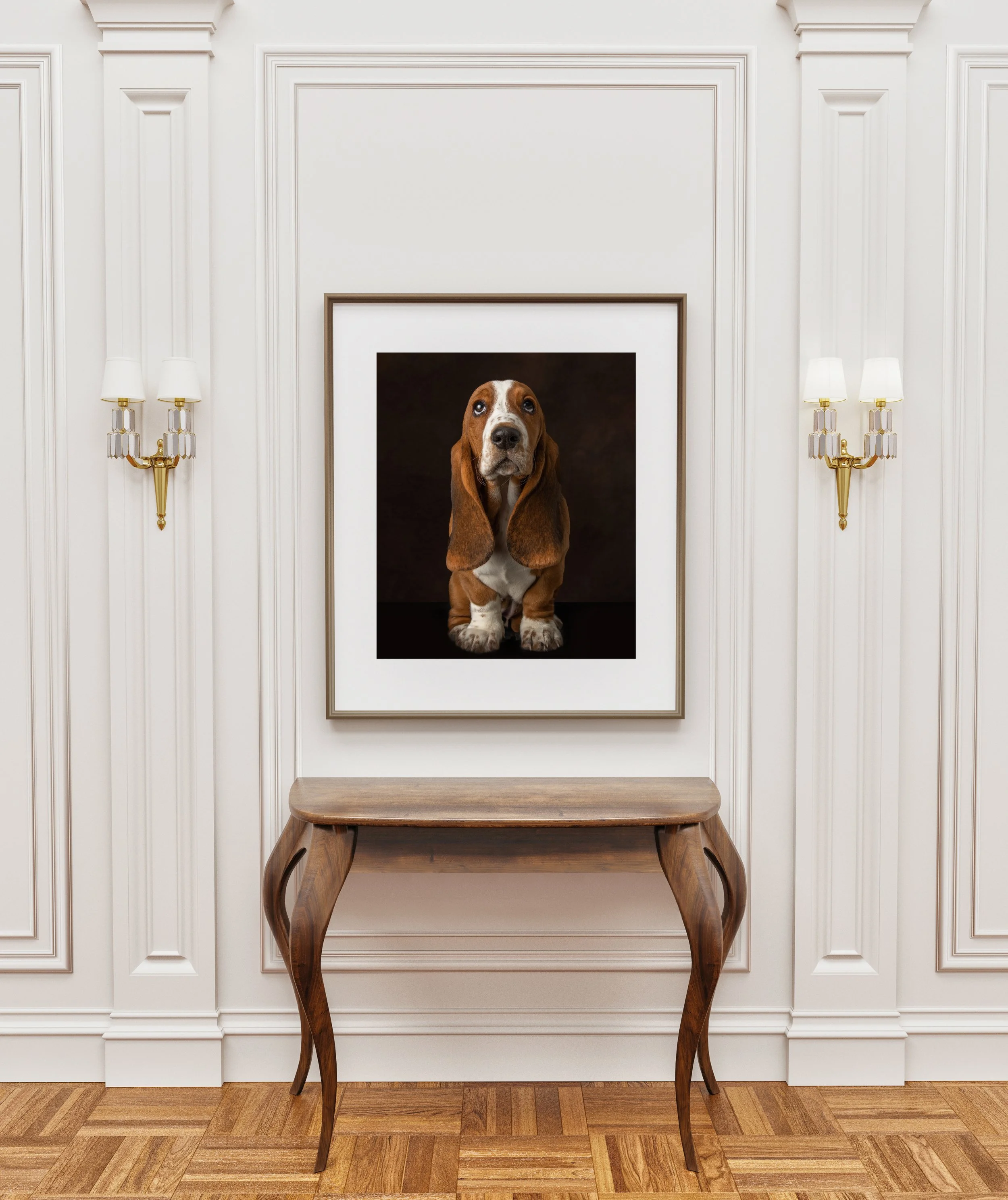 hall_dog.jpg