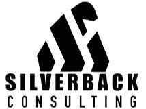 Silverback Merchant Services Consulting