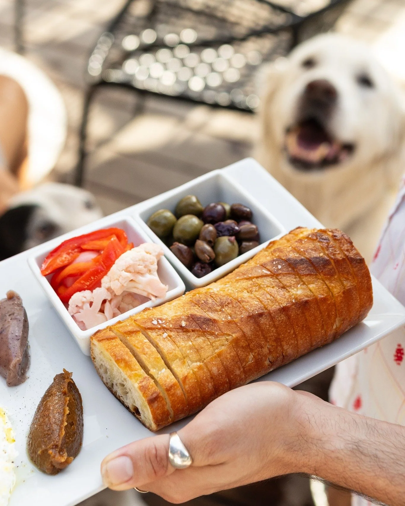 Word on the street is that Bingo's antipasti plate is so good, even your furry friends will want a bite. 

#gainesvillefl #visitgainesville #onlyingainesville #alachuacounty #downtowngnv #uf #352 #florida #gogators