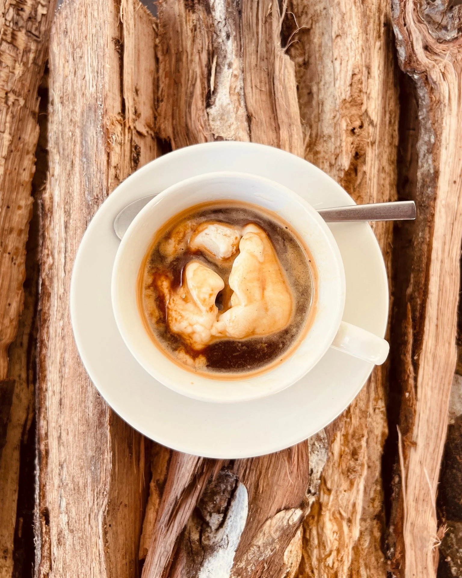 Don't mind us, we're just currently thinking about this affogato from @humblewoodfire.

#gainesvillefl #visitgainesville #florida #uf #gogators #352 #onlyingainesville #alachuacounty #downtowngnv #coffeelover #millennials