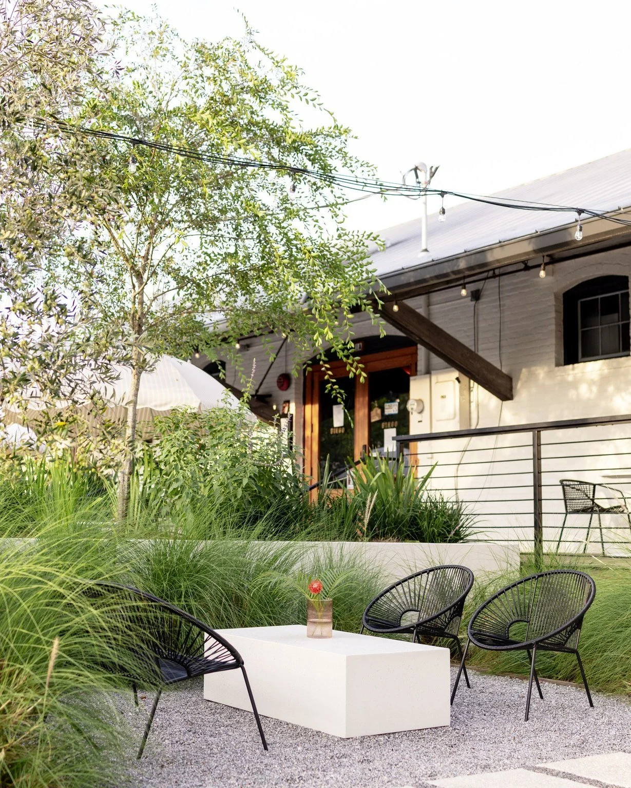 Big fans of this secret little alcove in the Garden.

#gainesvillefl #visitgainesville #florida #uf #352 #onlyingainesville #gogators #alachuacounty #downtowngnv #gnvfla