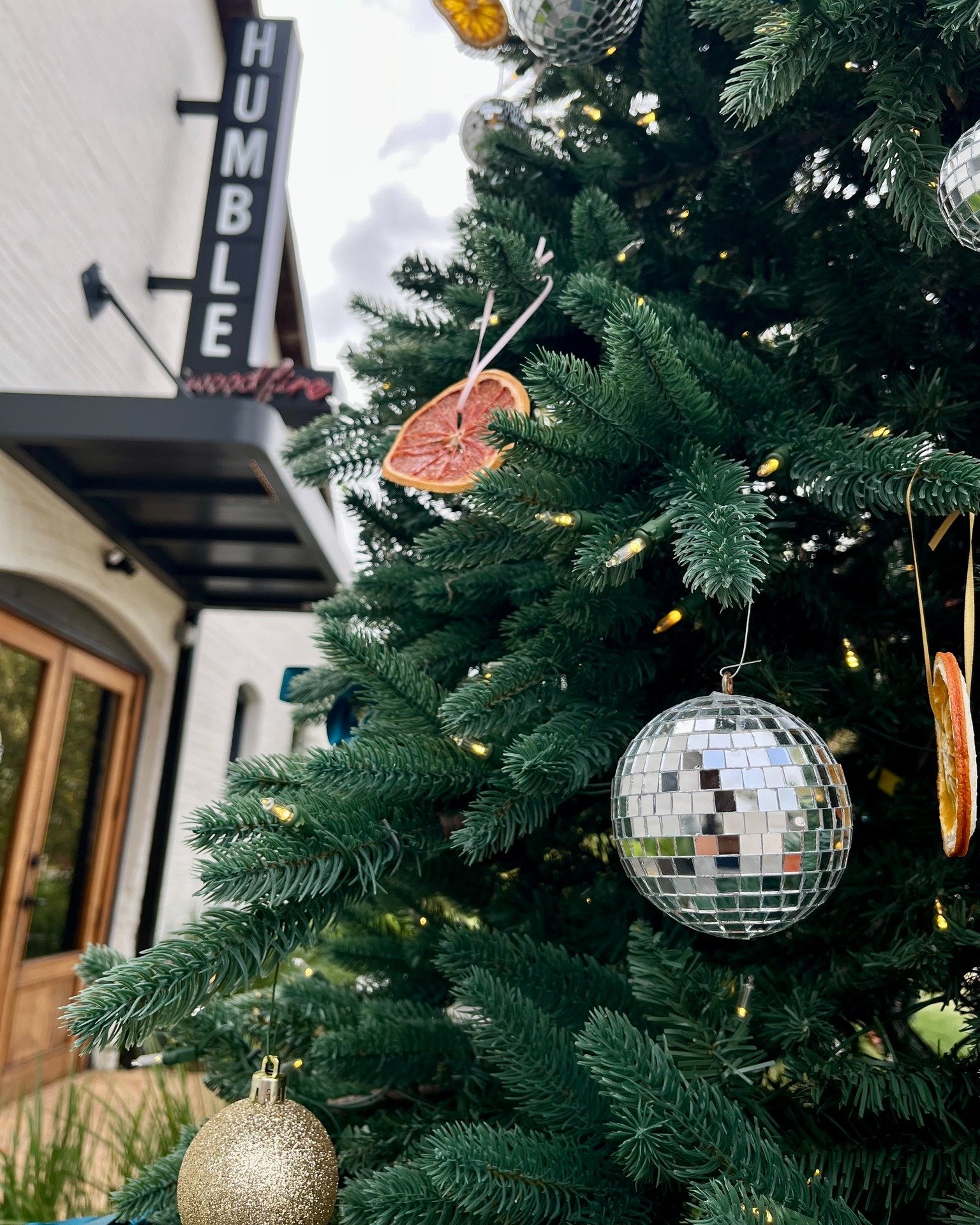 It's starting to look festive around here...

#gainesvillefl #visitgainesville #florida #uf #gogators #352 #onlyingainesville #alachuacounty #downtowngnv #holidayseason