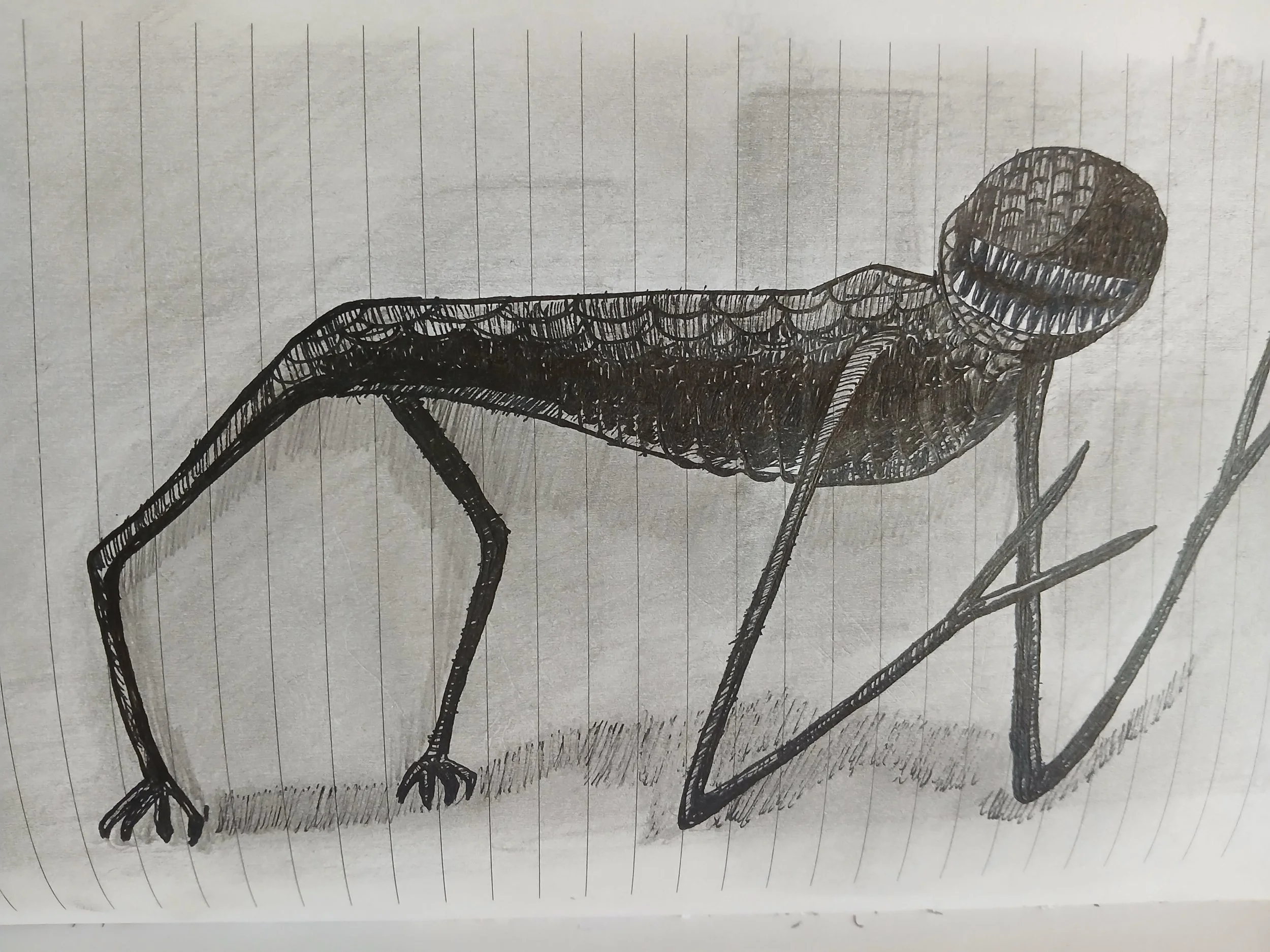 The Black Rose of Death