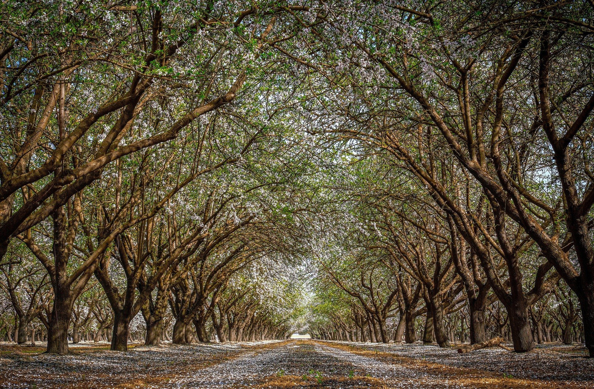River Road