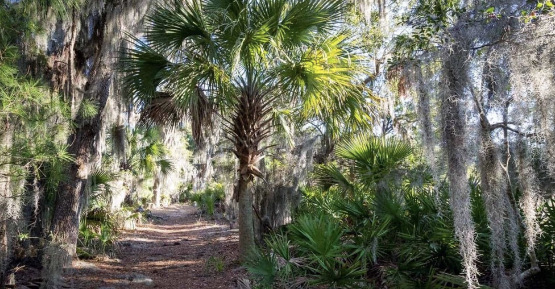 Family Hike at Skidaway