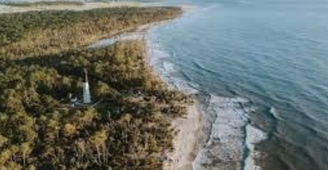 Hunting Island and the Holidays