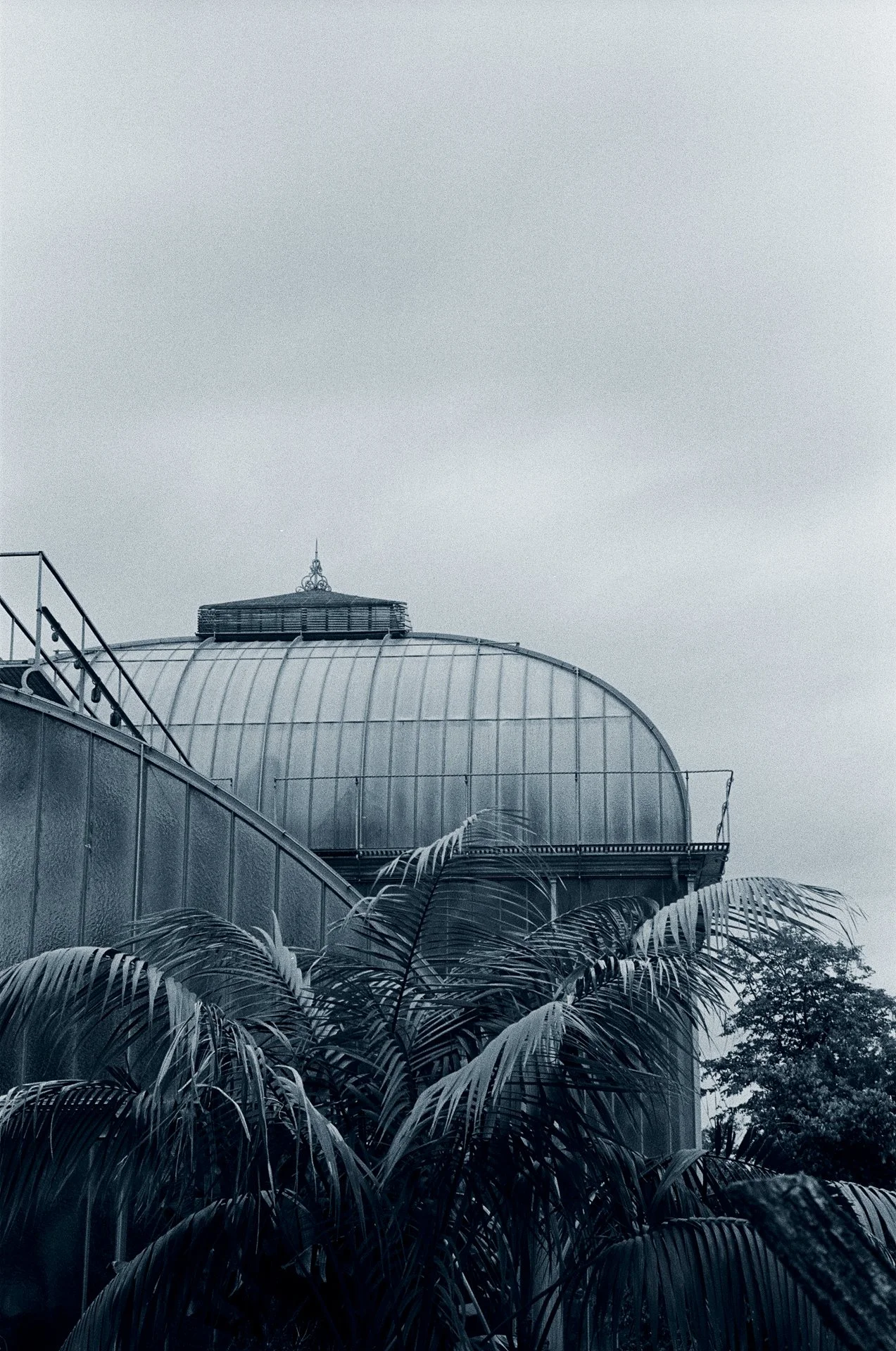 Blue Hour -October 22, 2024 - 16-11.jpg