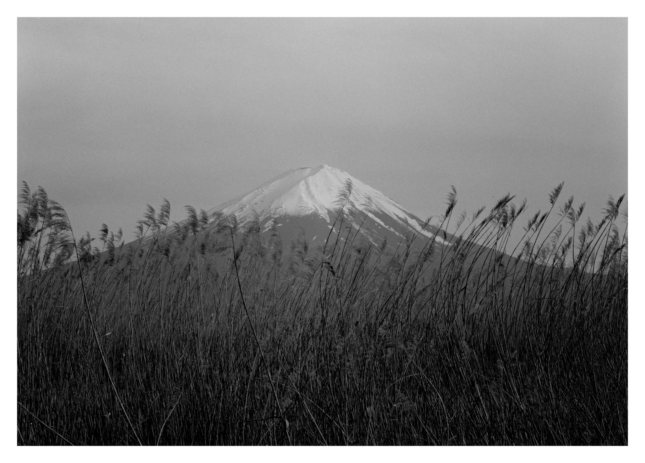 Vues du Mont Fuji 