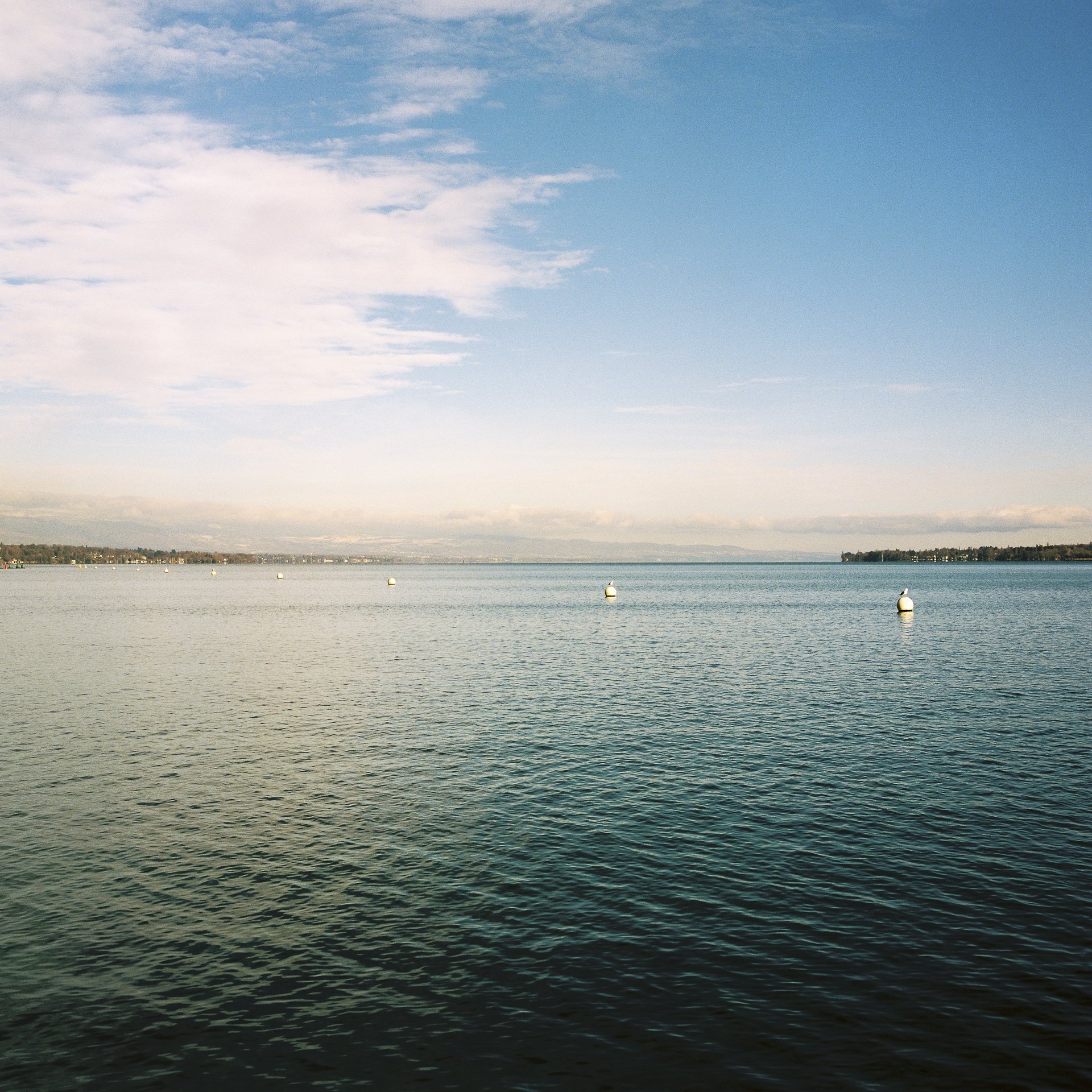 JasmineCaye-2021-12-21-JasmineCaye-2021-12-21-Bains des Paquis Hasselblad-0011.jpg