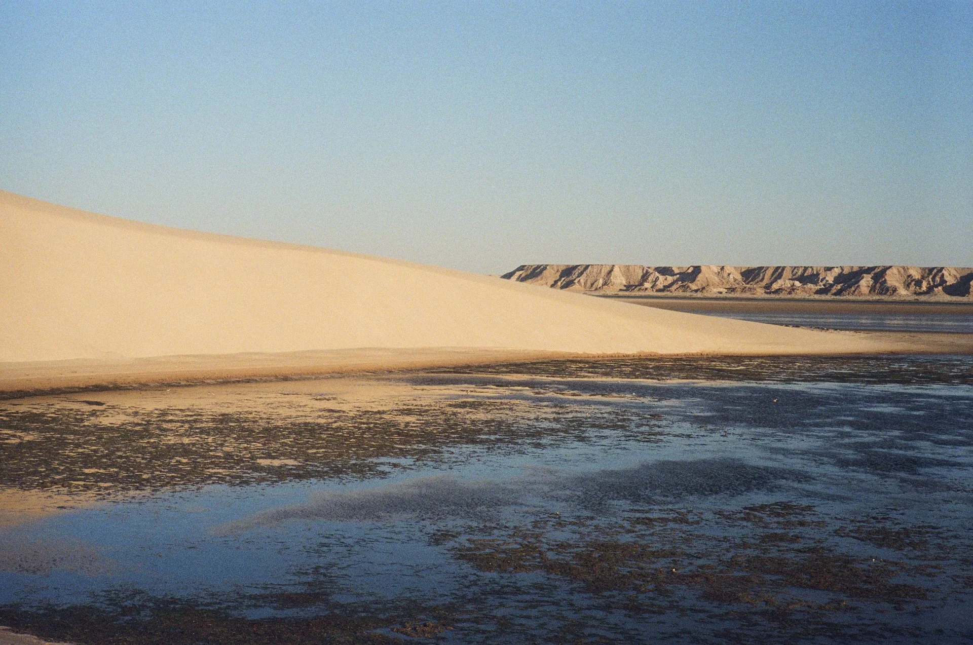 Dakhla- © J.Caye - 2025 -01-06-032.jpg