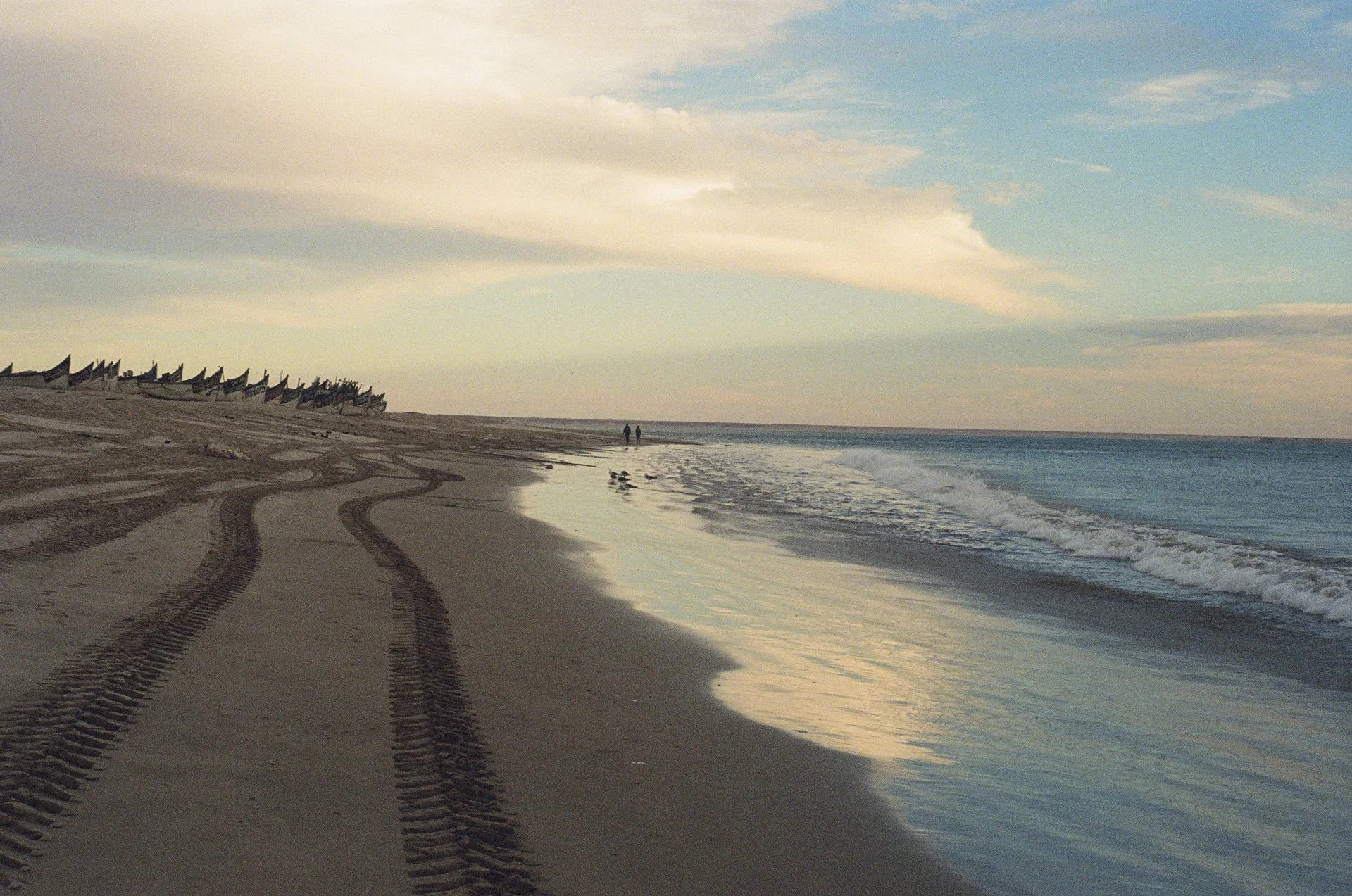 Dakhla- © J.Caye - 2025 -01-06-016.jpg
