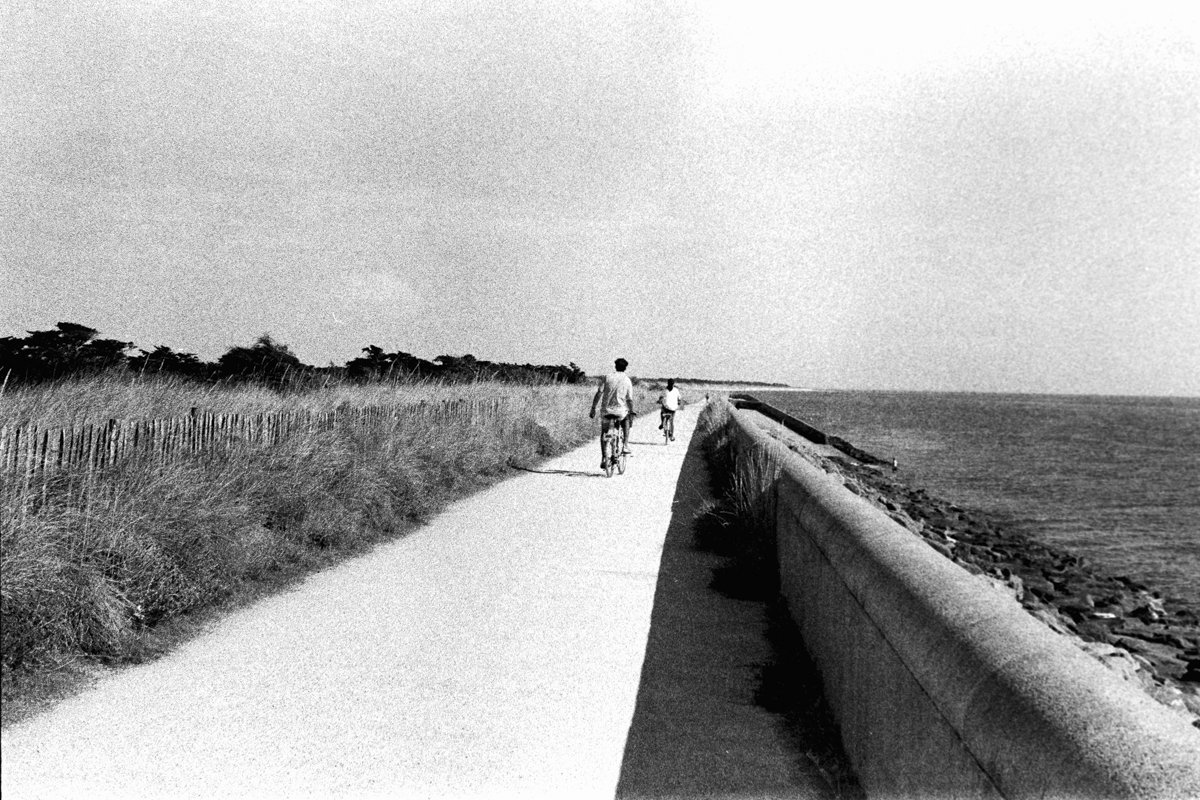 Ile de Ré - 8039 - 36-11.jpg