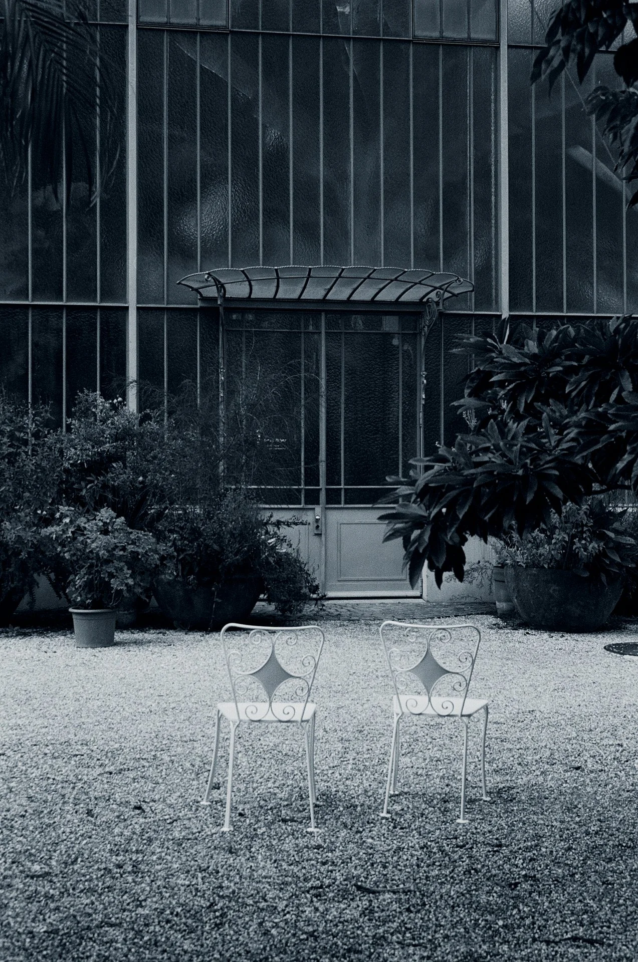 Blue Hour -October 10, 2024 - 16-2.jpg