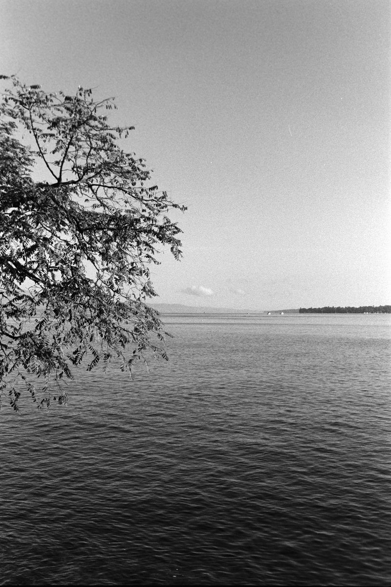 Genève-2025-10-PC 8060 - 36-21.jpg