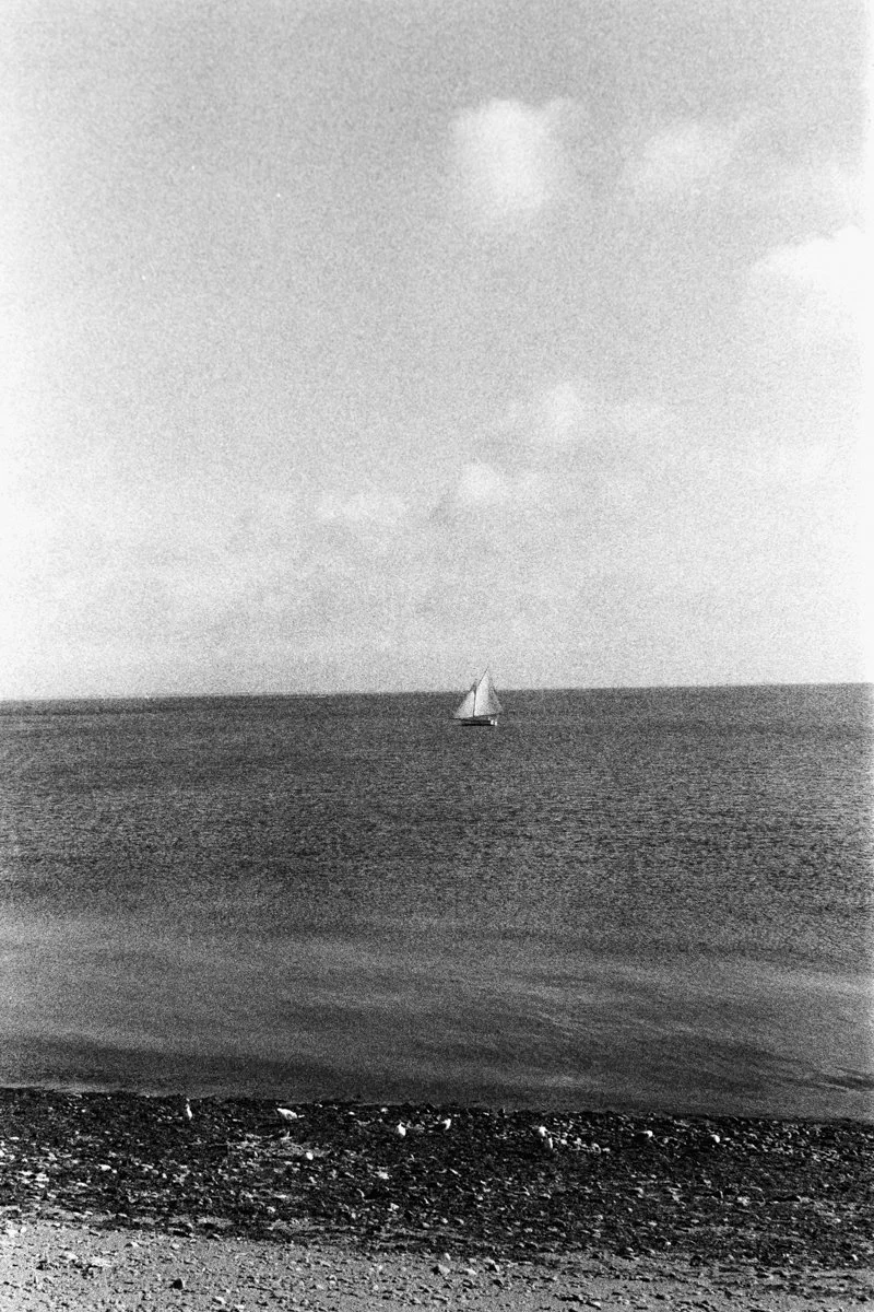 Ile de Ré - 8039 - 36-27.jpg