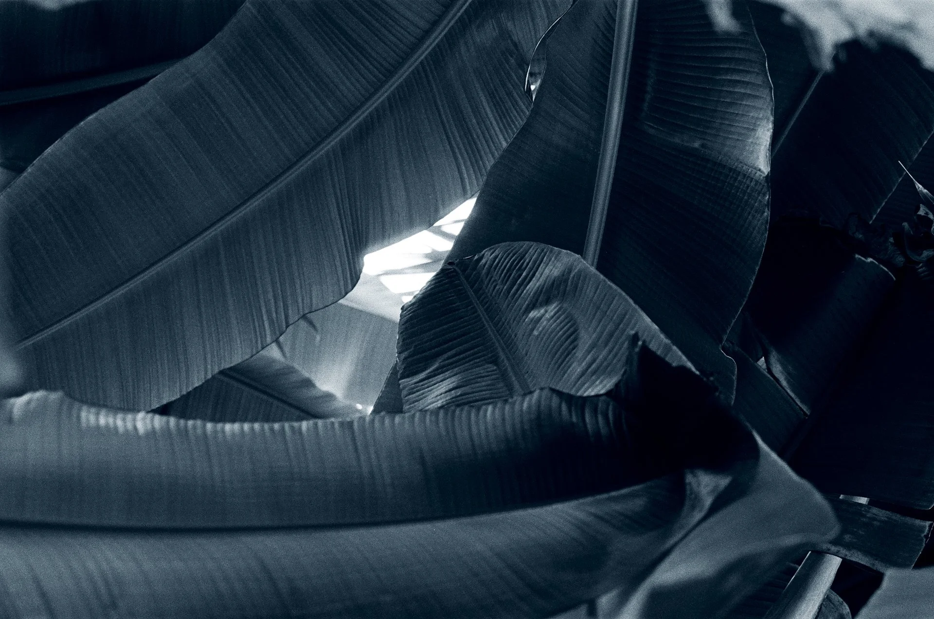 Blue Hour -October 22, 2024 - 16-9.jpg