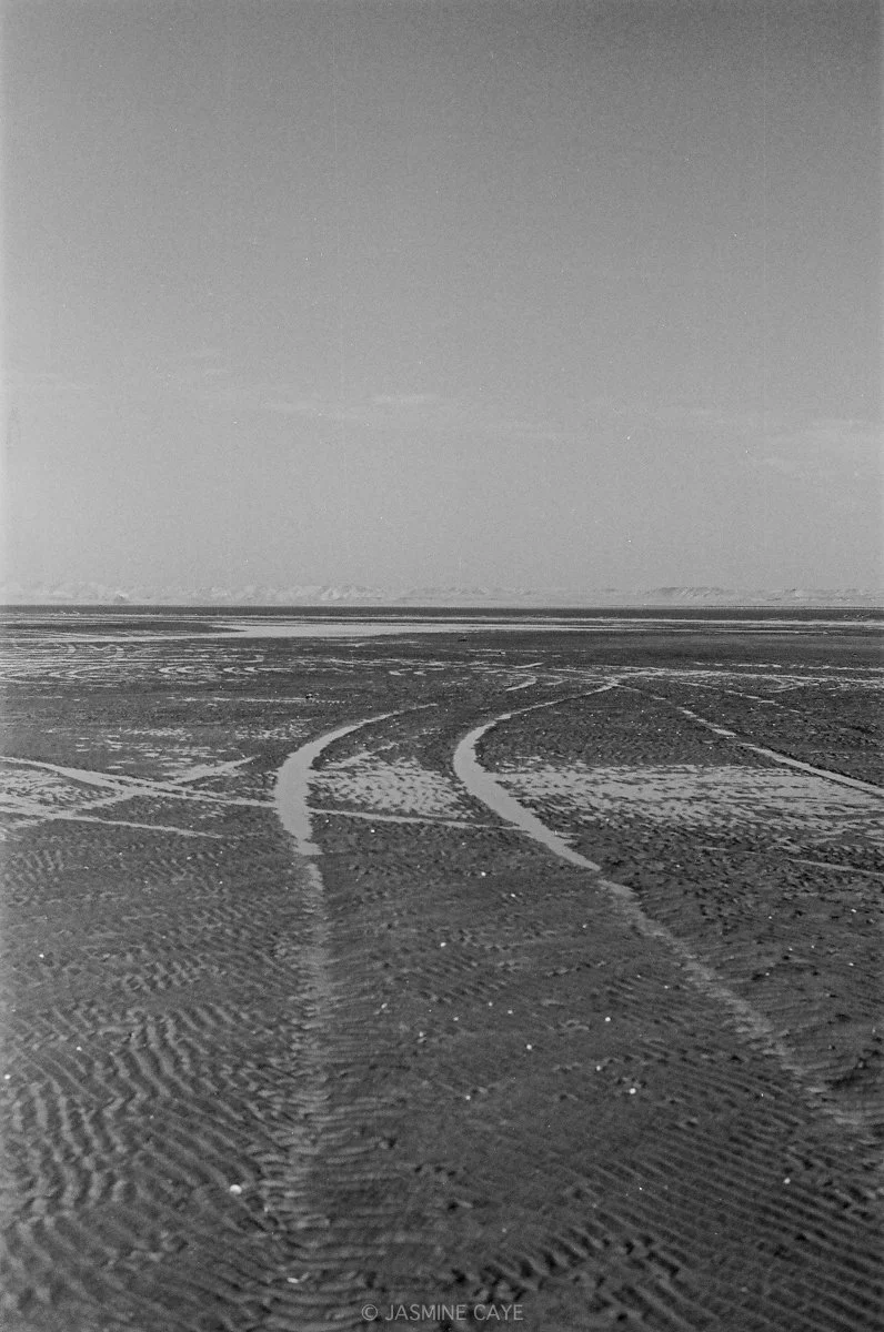 Jasmine Caye-Dakhla-January 2024-051.jpg