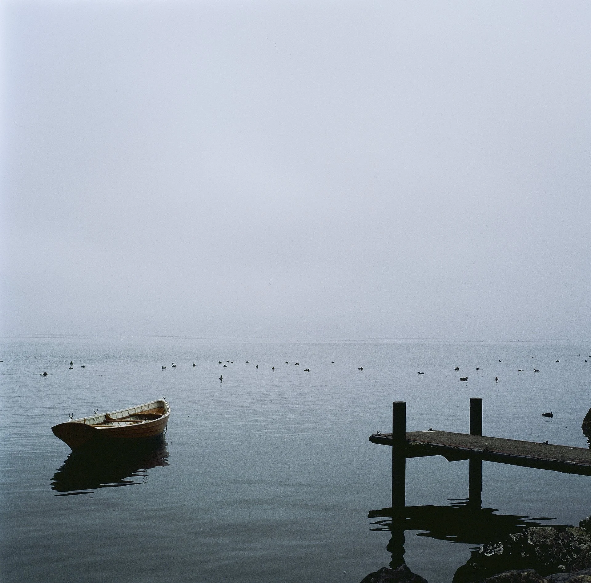 Genève - 2024-©J.Caye -00004182- 003.jpg