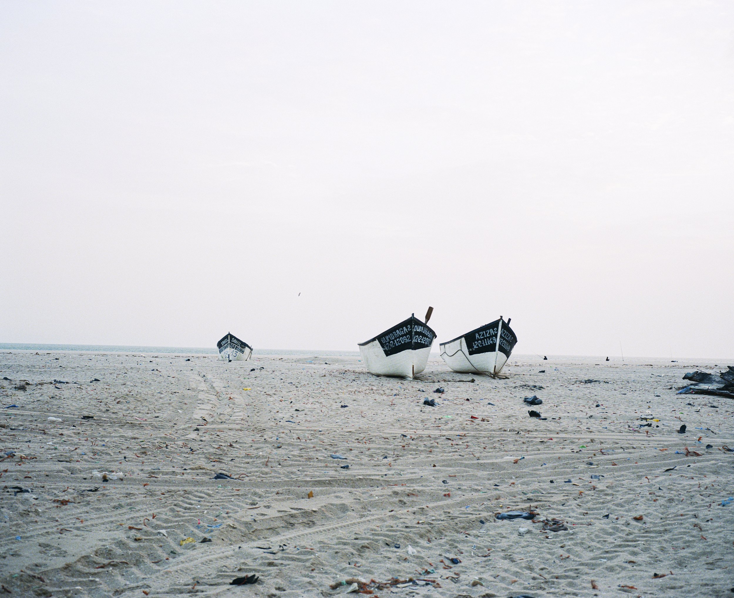 Dakhla - 2024 - 05 - ©Jasmine Caye.All Rights Reserved.jpg