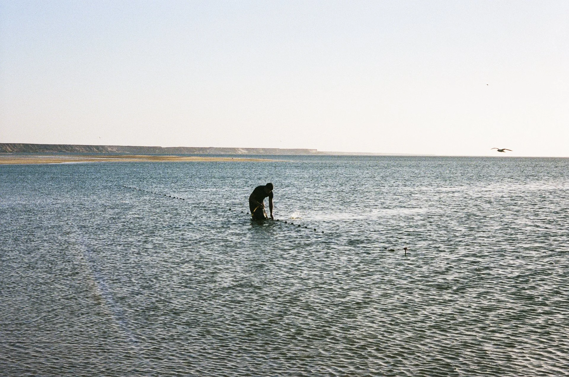 Dakhla- © J.Caye - 2025 -01-06-020.jpg