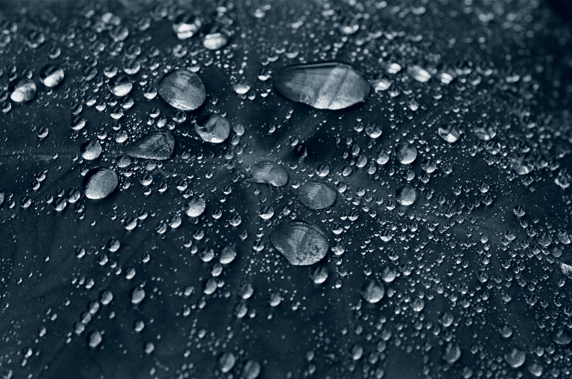 Blue Hour -October 22, 2024 - 16.jpg