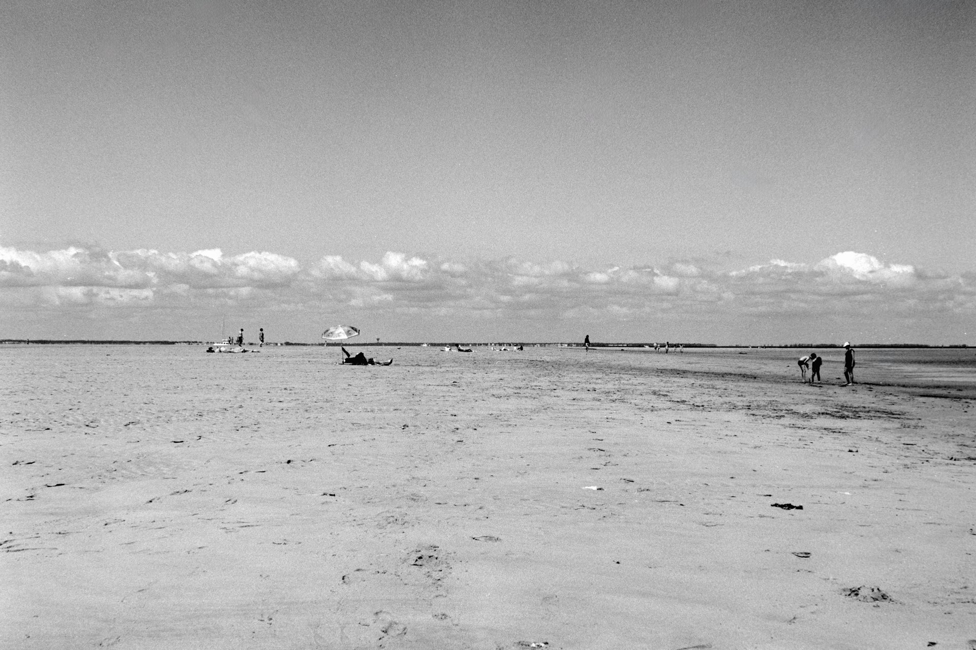 Ile de Ré-2024-07-24-197-  © Jasmine Caye. All Rights Reserved.jpg