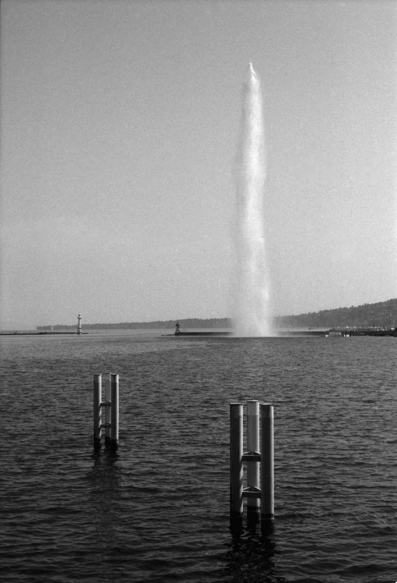 Jasmine Caye-2023-06-15-2-7.jpg