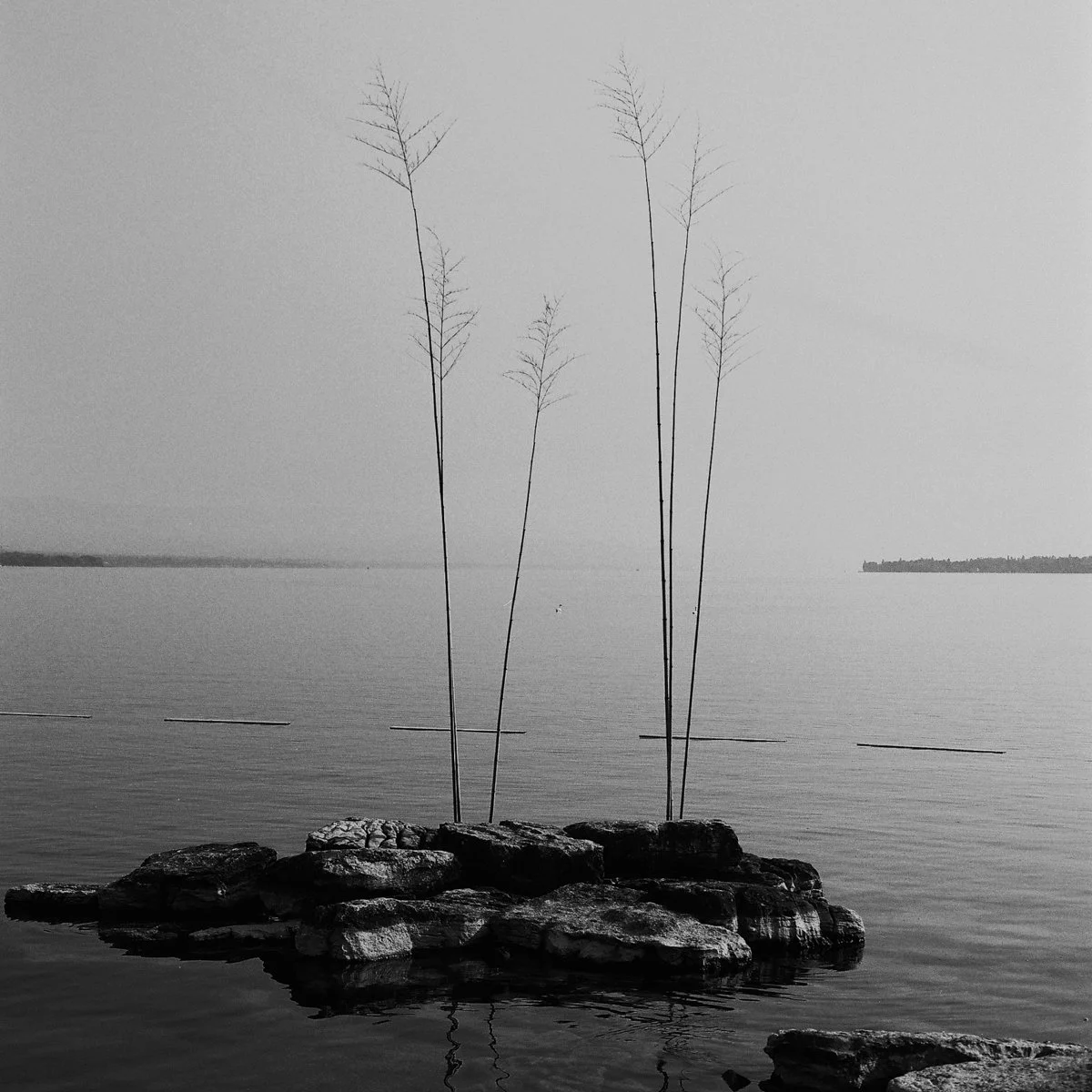 Jasmine Caye-2023-06-05-0008-Modifier-2.jpg