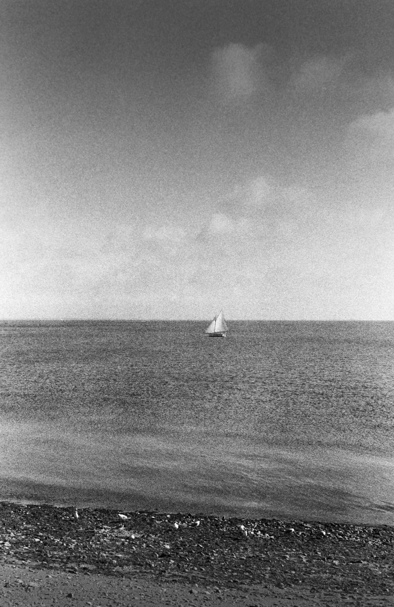 Ile de Ré - 8039 - 36-27.jpg