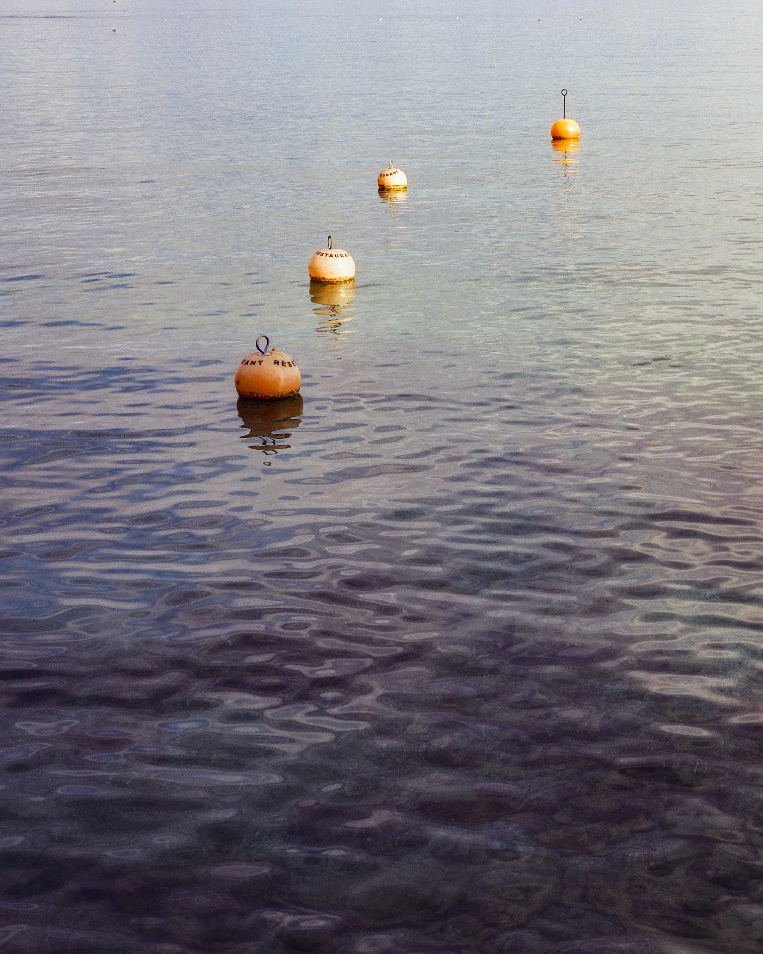 Nyon - 2024 - ©Jasmine Caye -00007124 - 011.jpg