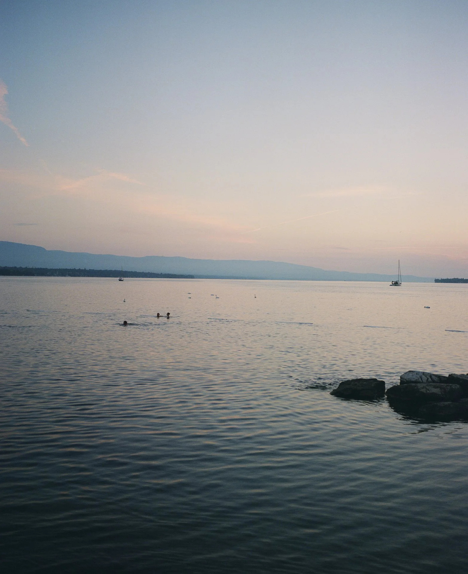 Genève-2024-08-16-013-  © Jasmine Caye. All Rights Reserved.jpg