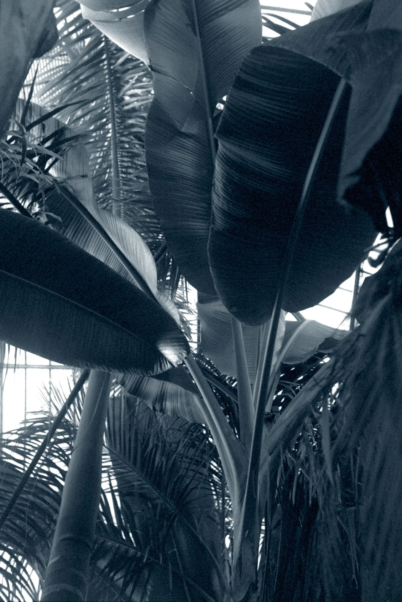 Blue Hour -December 12, 2023 - 16-2.jpg