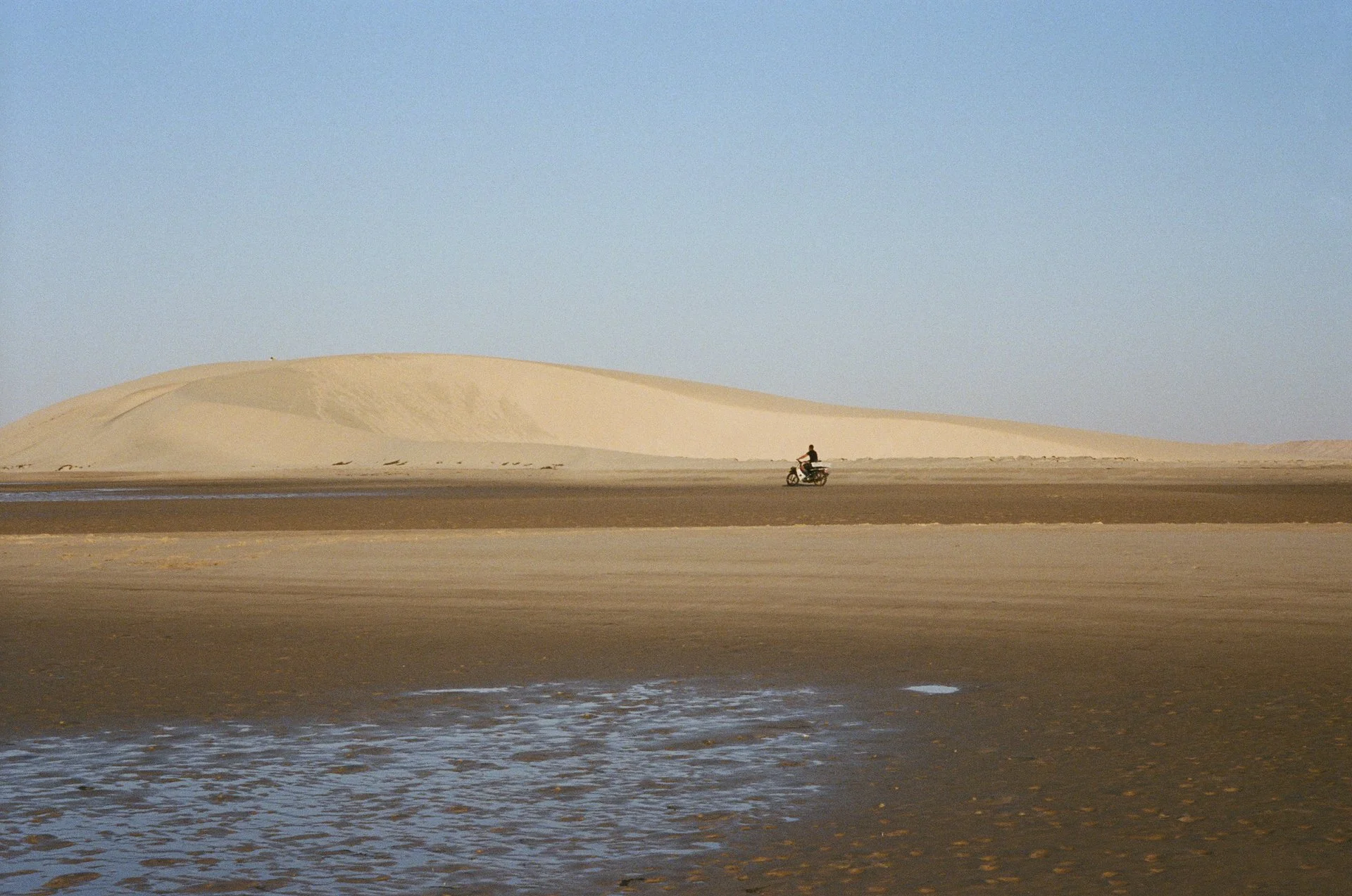 Dakhla- © J.Caye - 2025 -01-06-019.jpg
