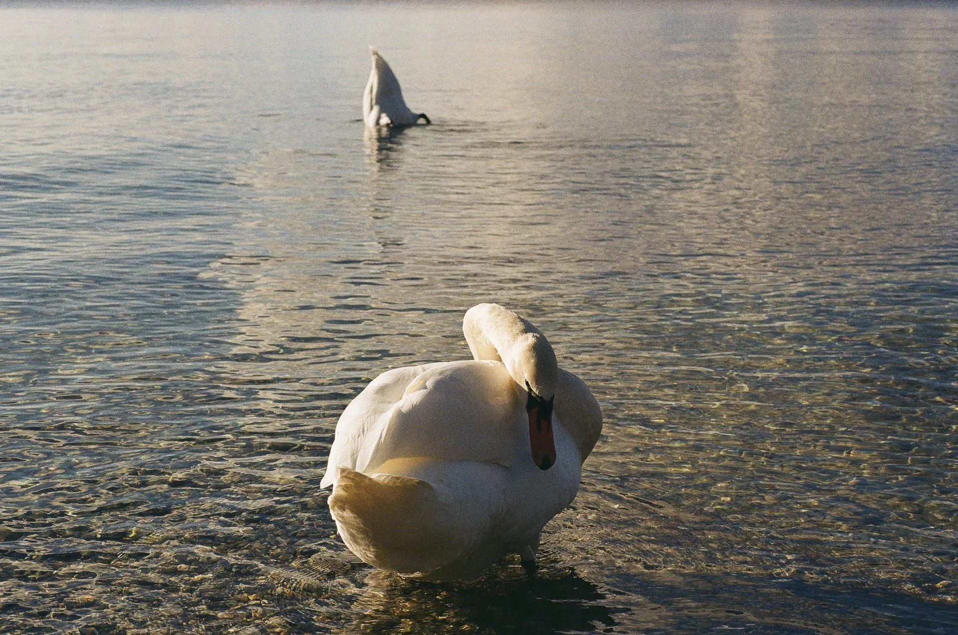 Geneva -2024-12-05-©J.Caye - 003.jpg