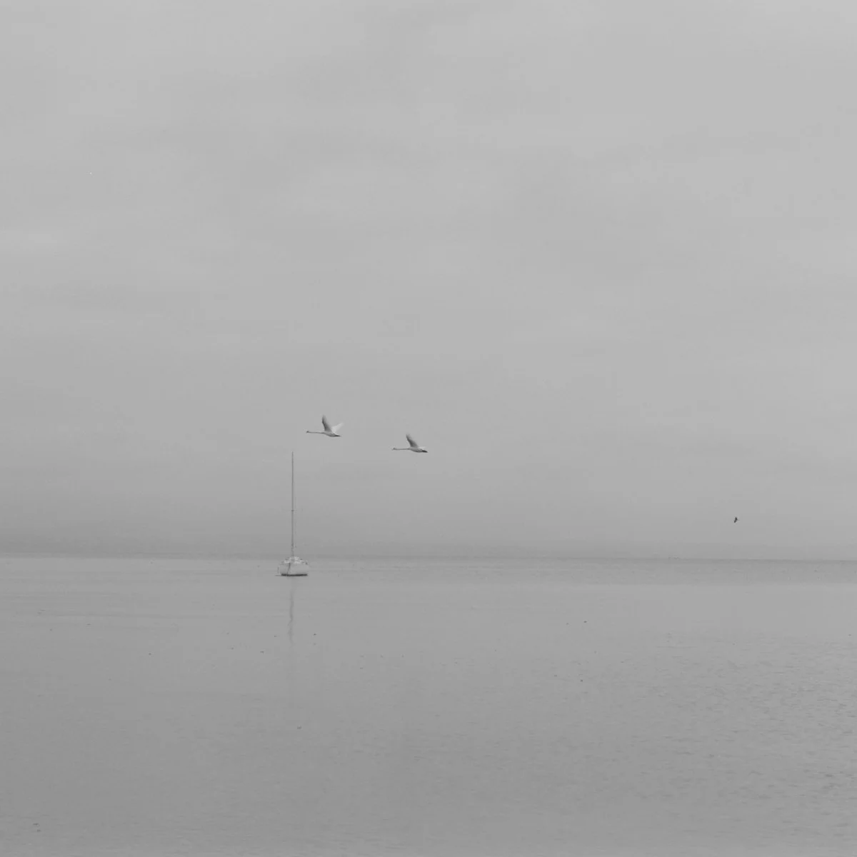 untitled- 20251216-15-5.jpg