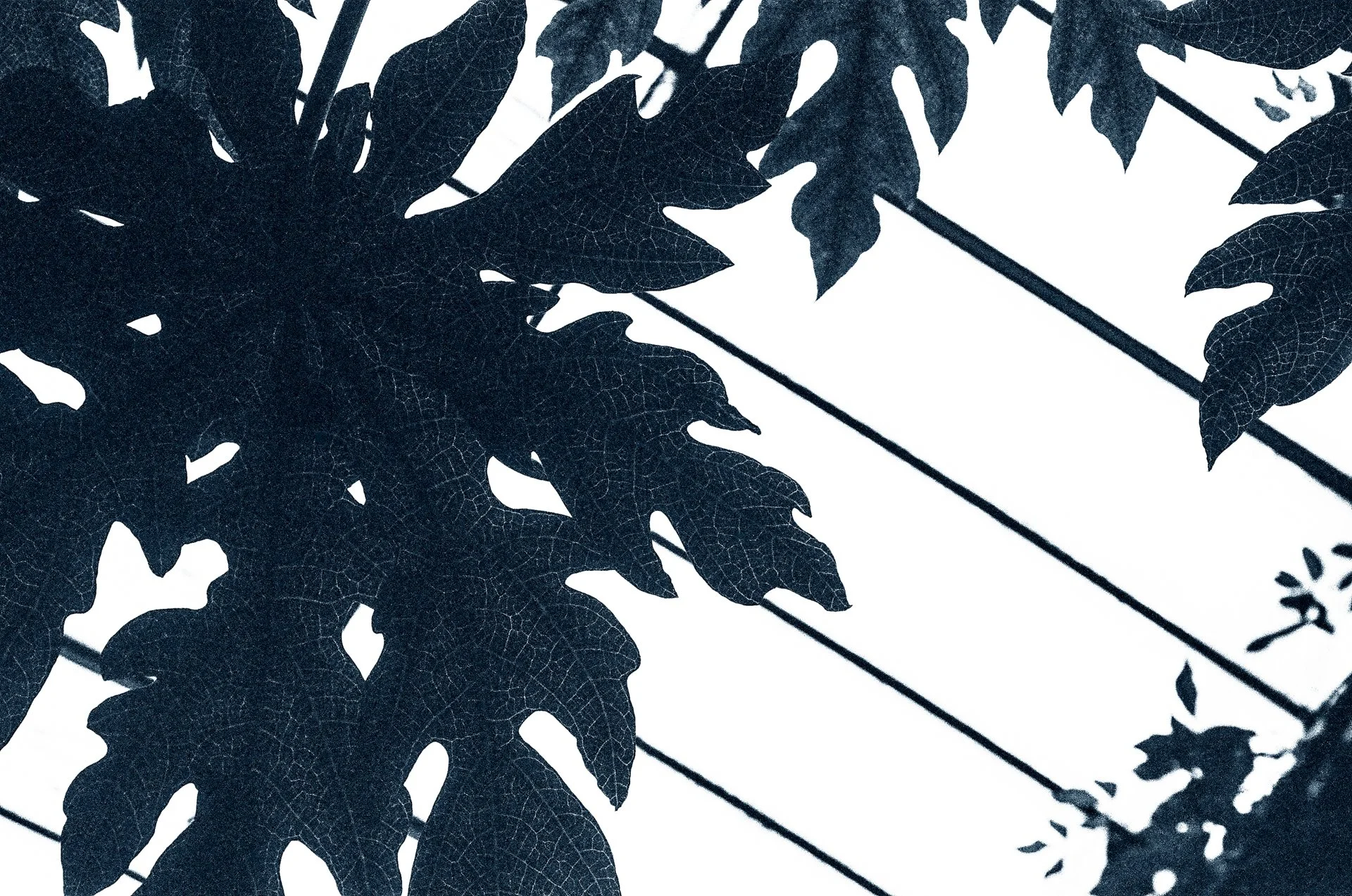 Blue Hour -October 22, 2024 - 16-7.jpg