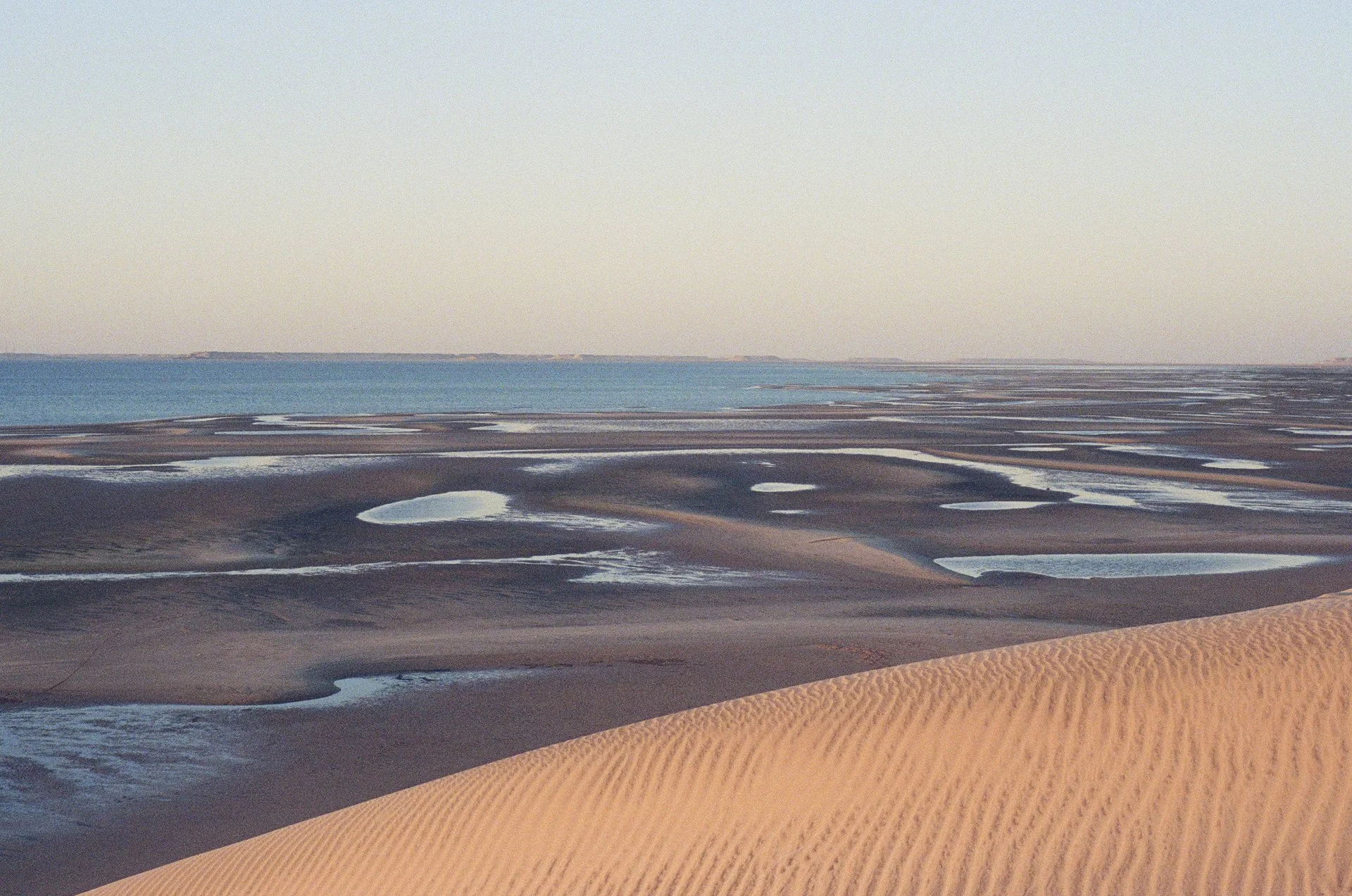 Dakhla- © J.Caye - 2025 -01-06-004.jpg