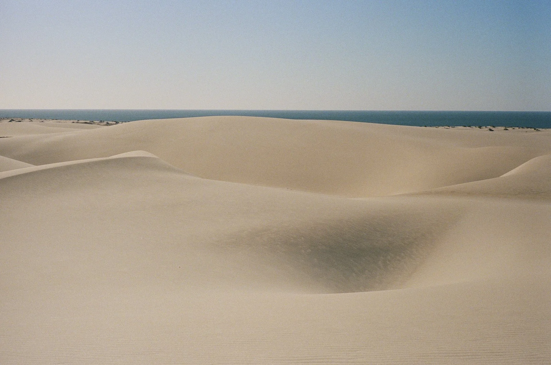 Dakhla - © J.Caye - 2025 -01-06-022.jpg