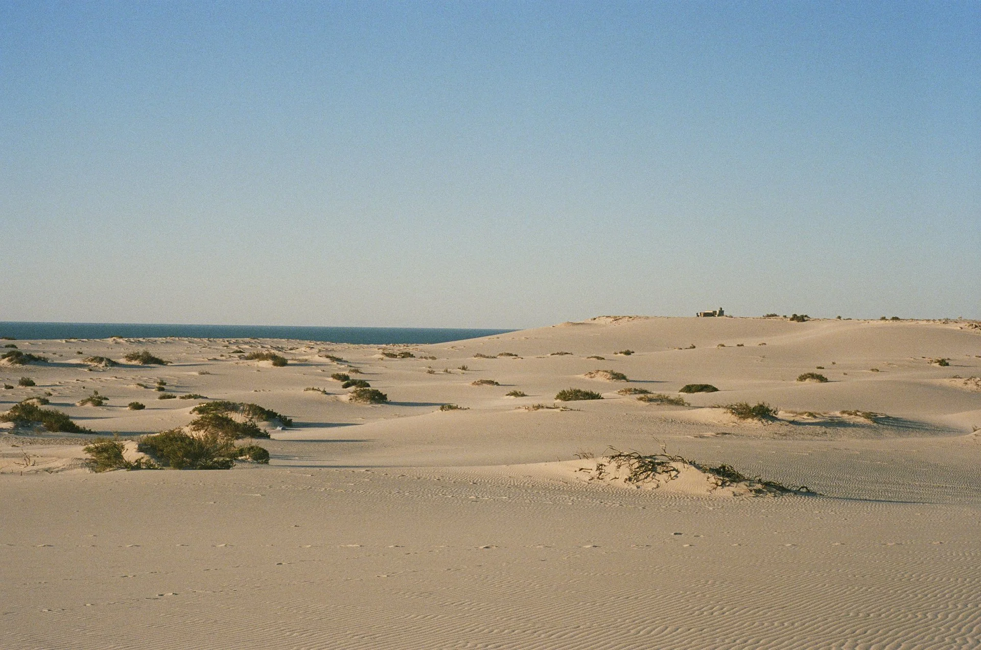Dakhla - © J.Caye - 2025 -01-06-008.jpg